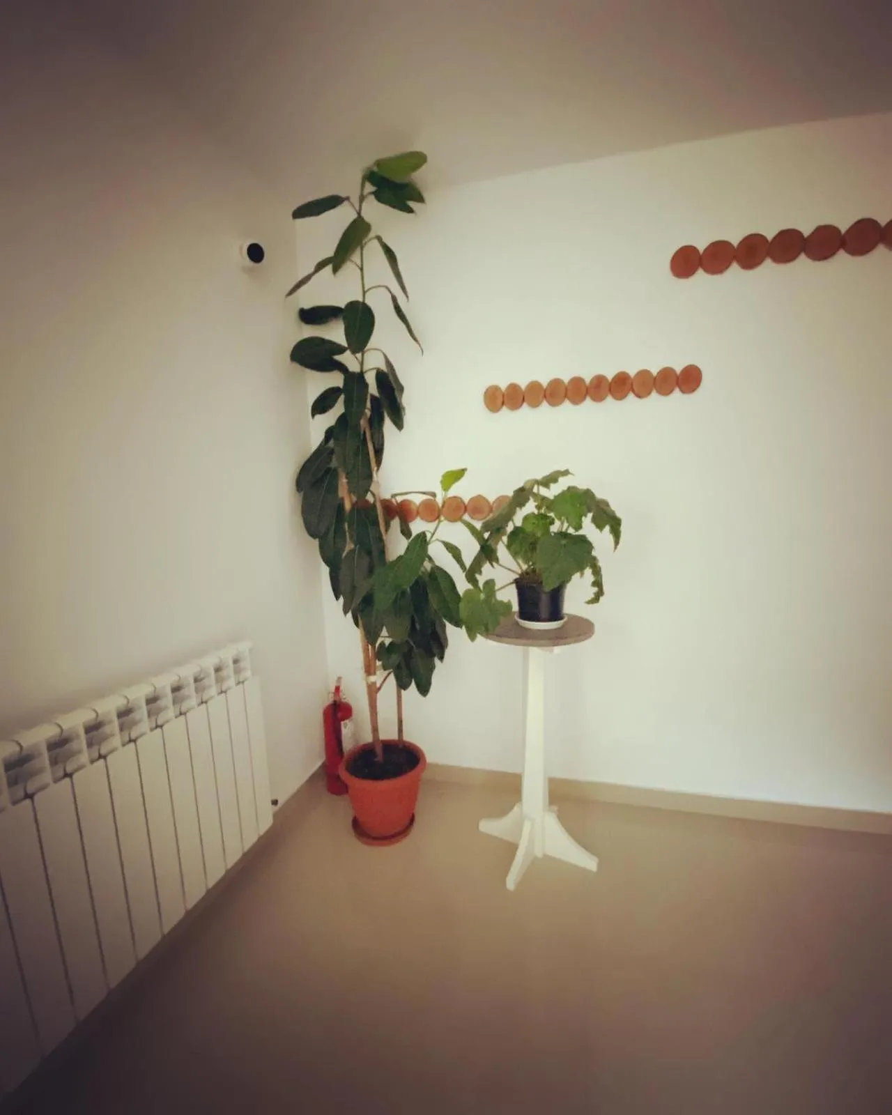 Property building in Maison Platanus