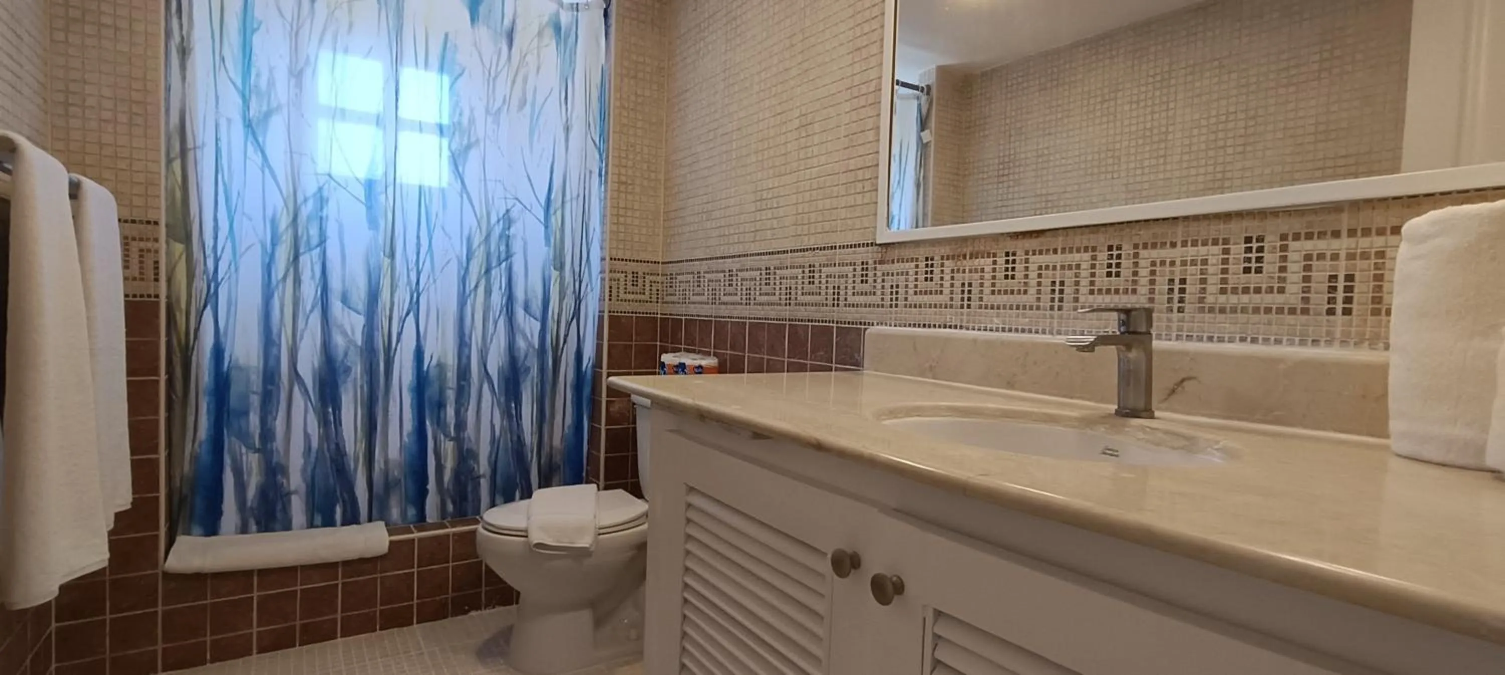 Shower in Flor del Mar Condo Punta Cana Beachfront