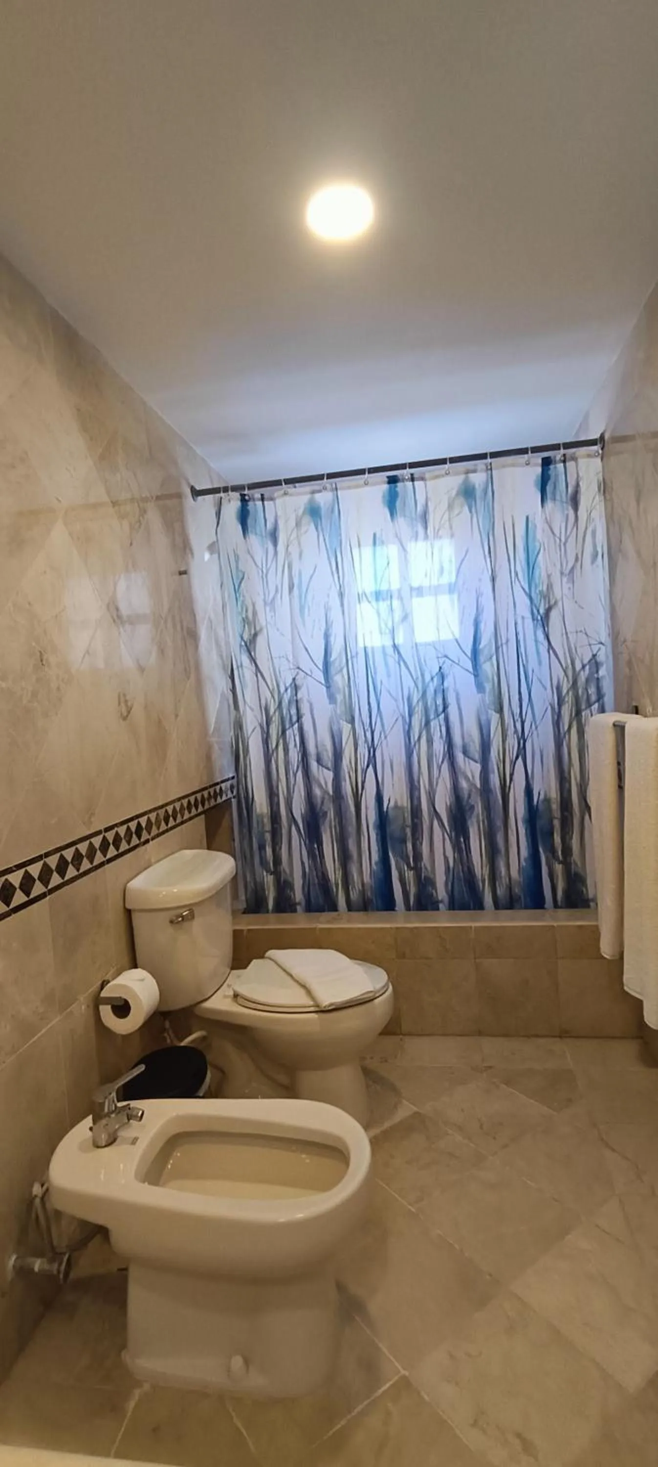 Toilet in Flor del Mar Condo Punta Cana Beachfront