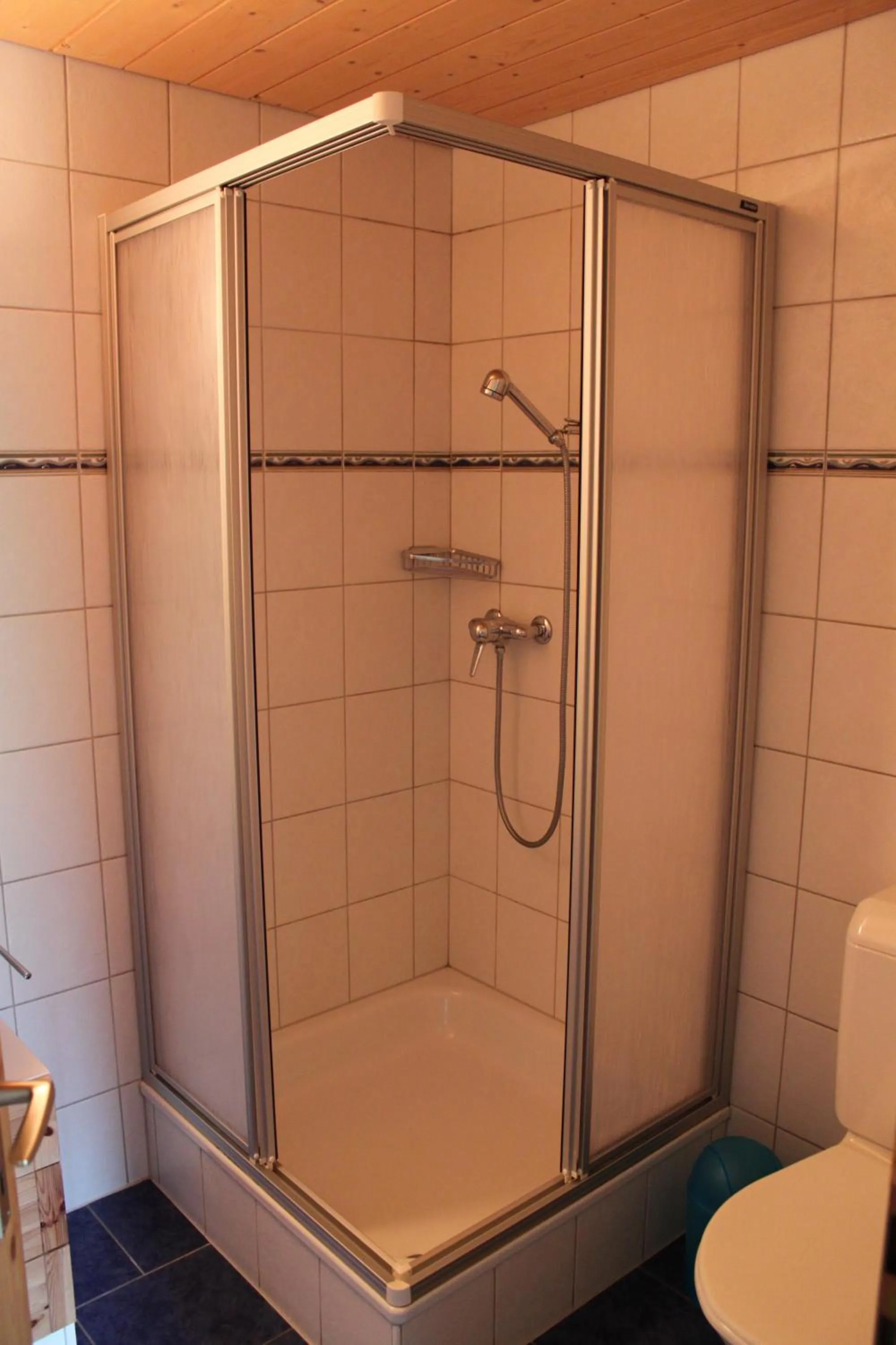 Shower in Chalet Asterix