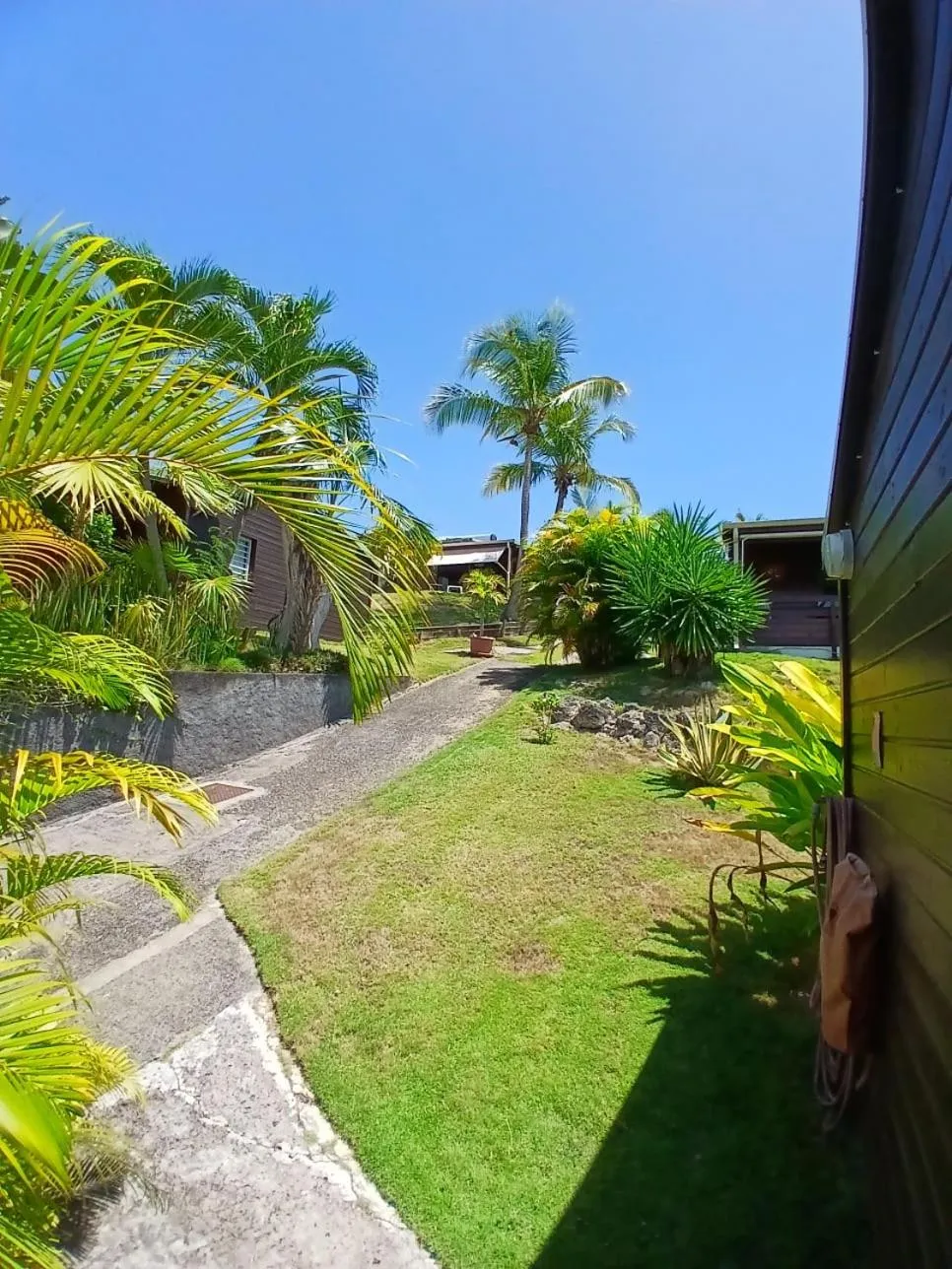 Garden in Ti Village Creole