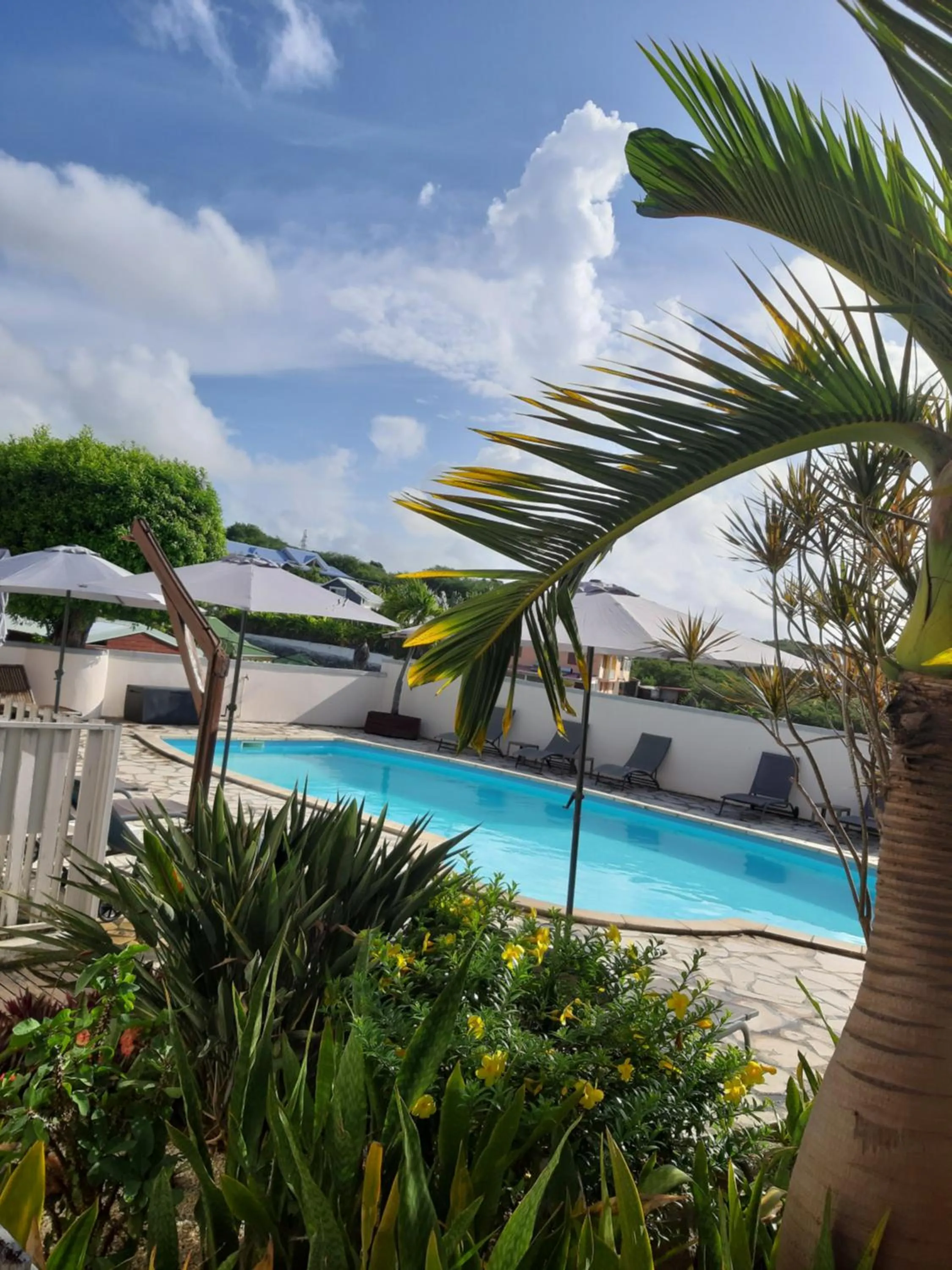 Swimming pool in Ti Village Creole