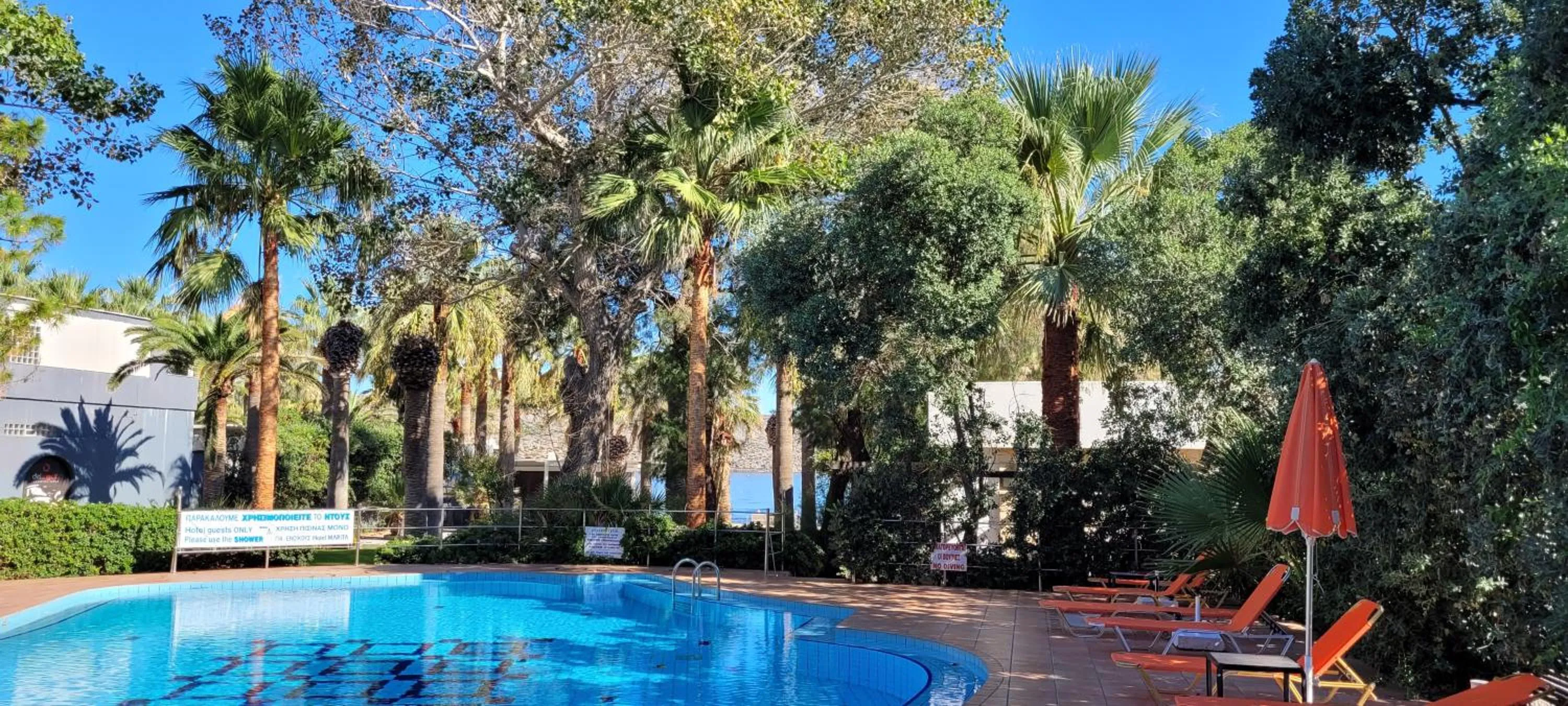 Garden in Marita's Apartments