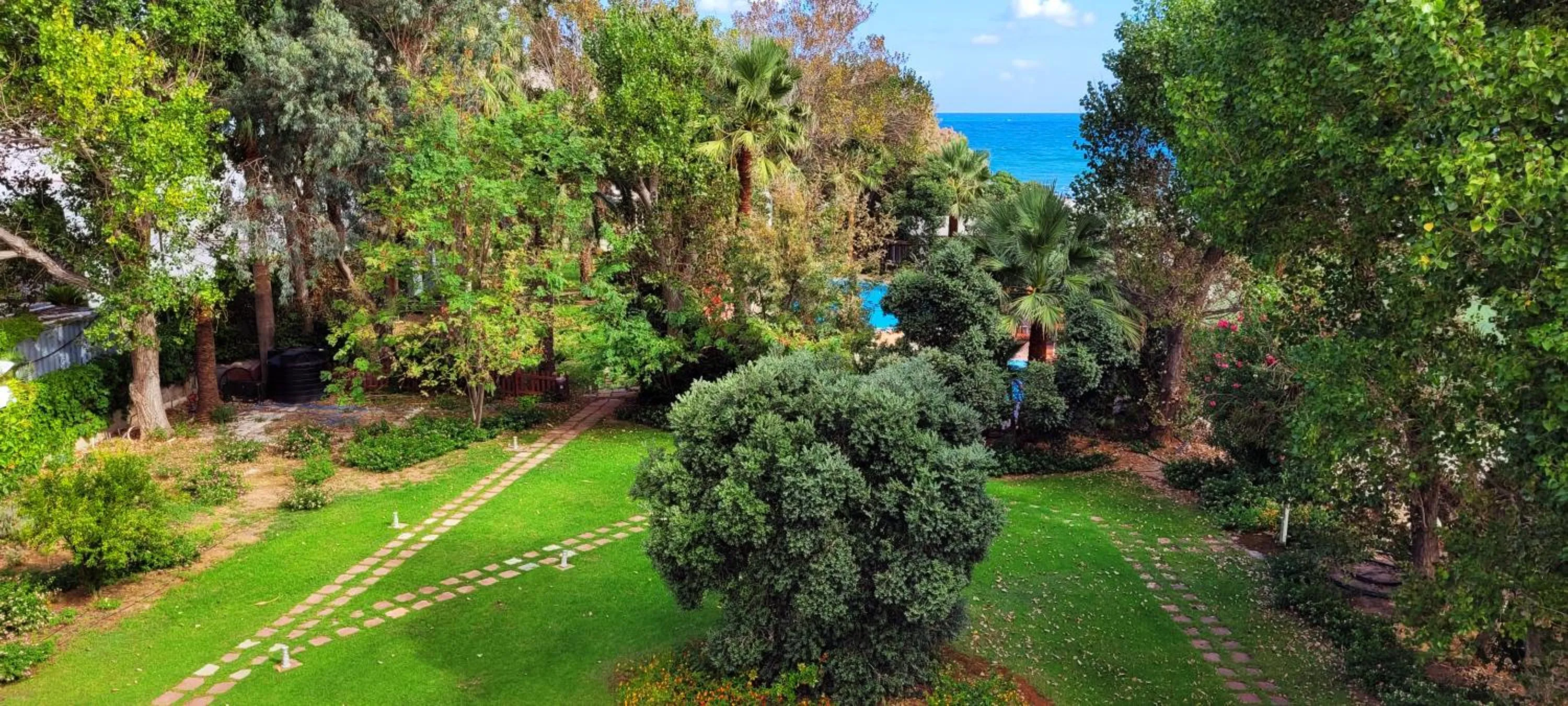 Garden in Marita's Apartments