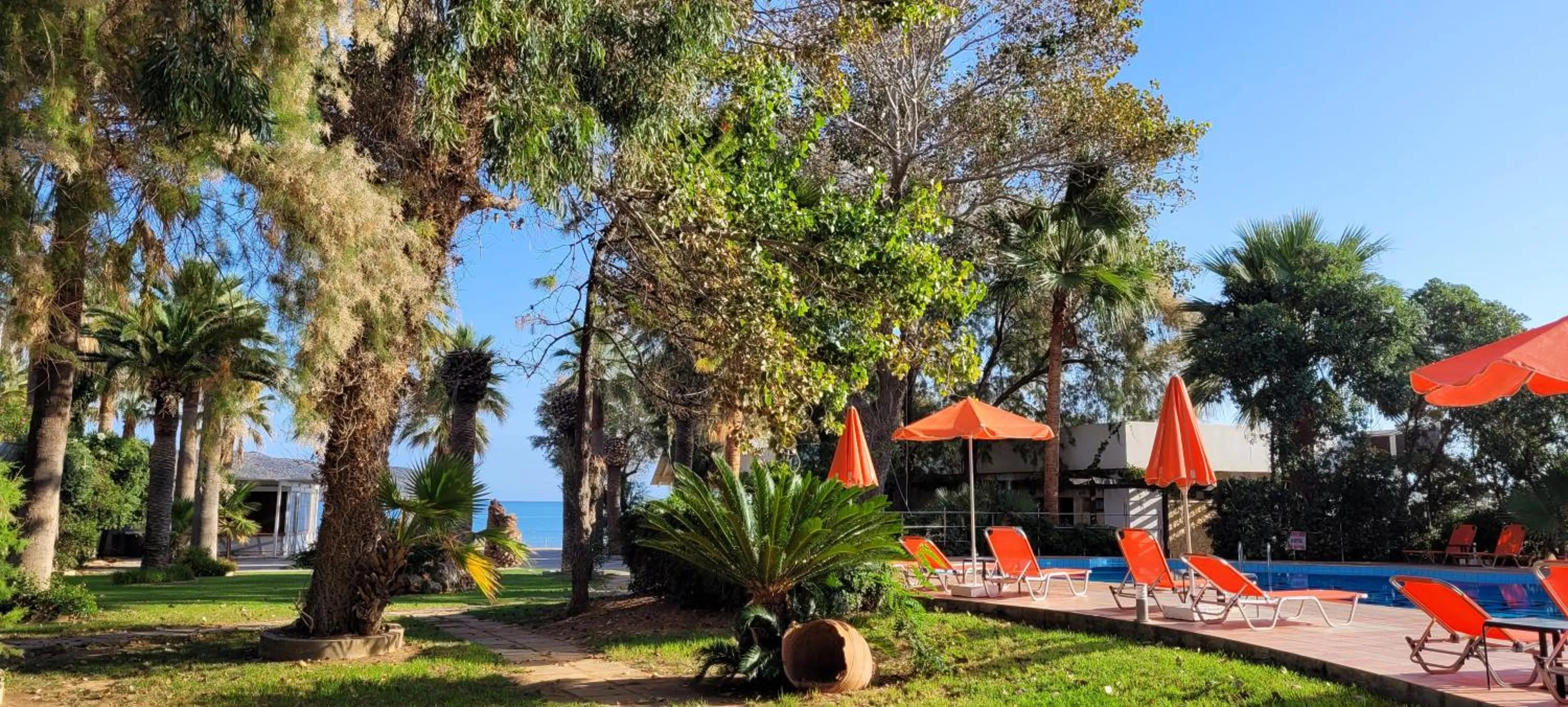 Garden in Marita's Apartments