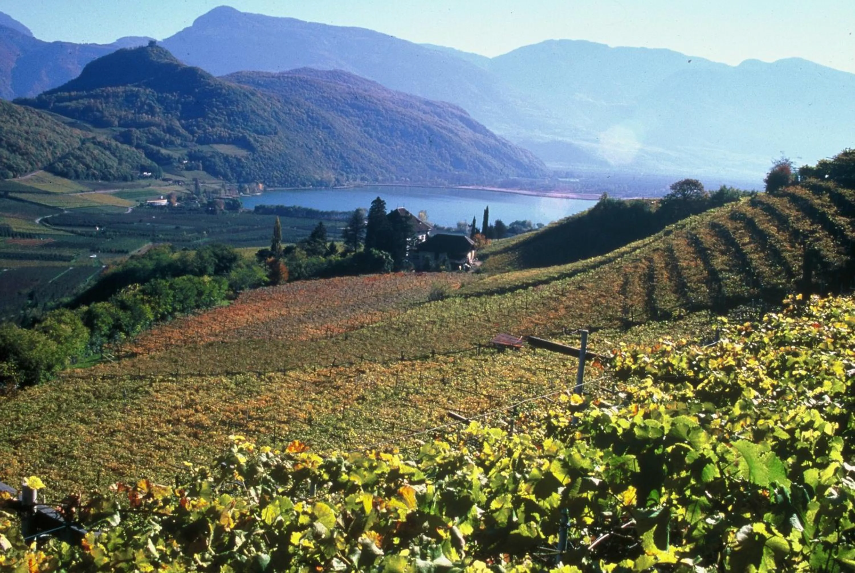 Area and facilities in Hotel Thalhof am See