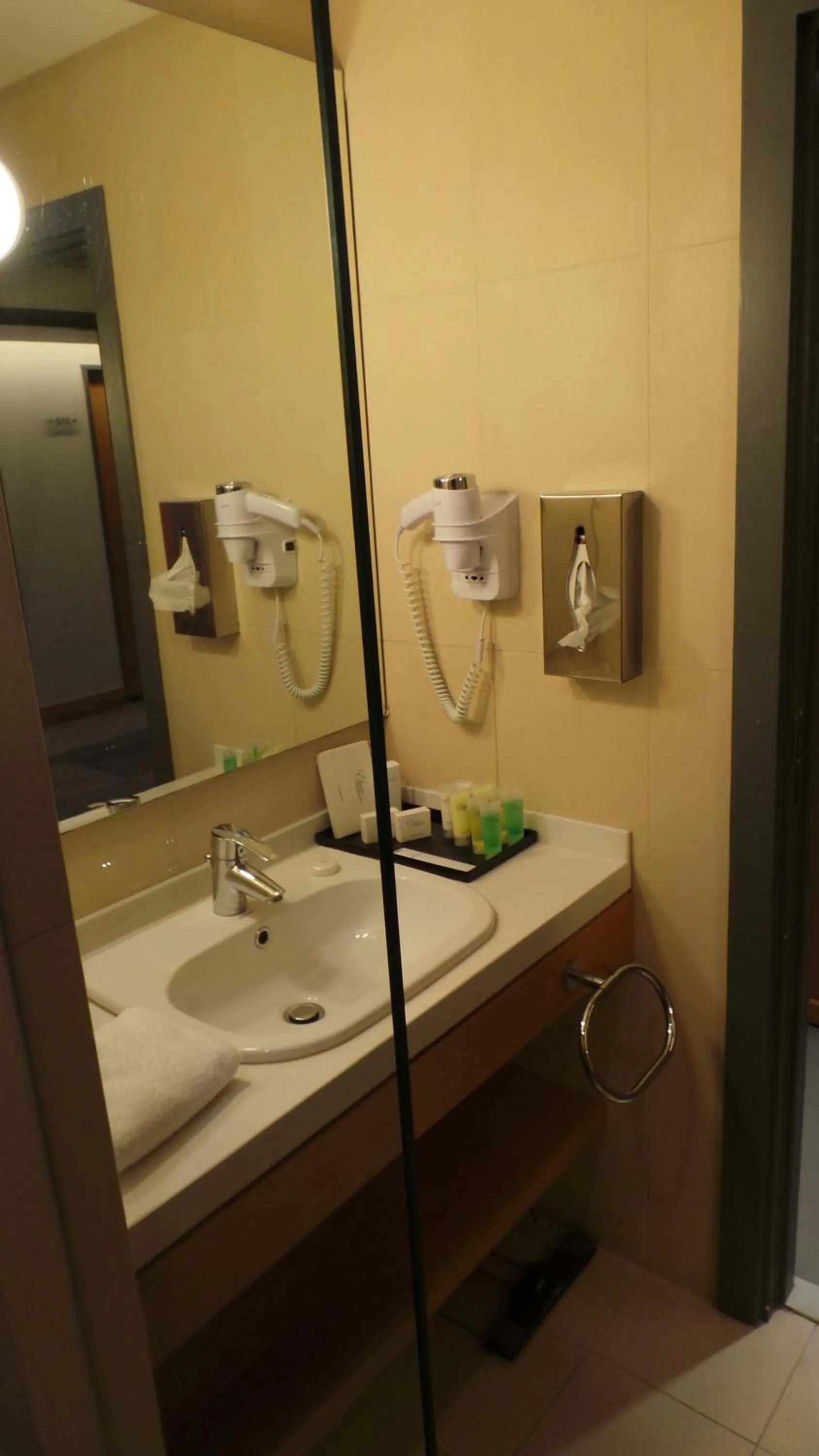 Bathroom in Amman Airport Hotel