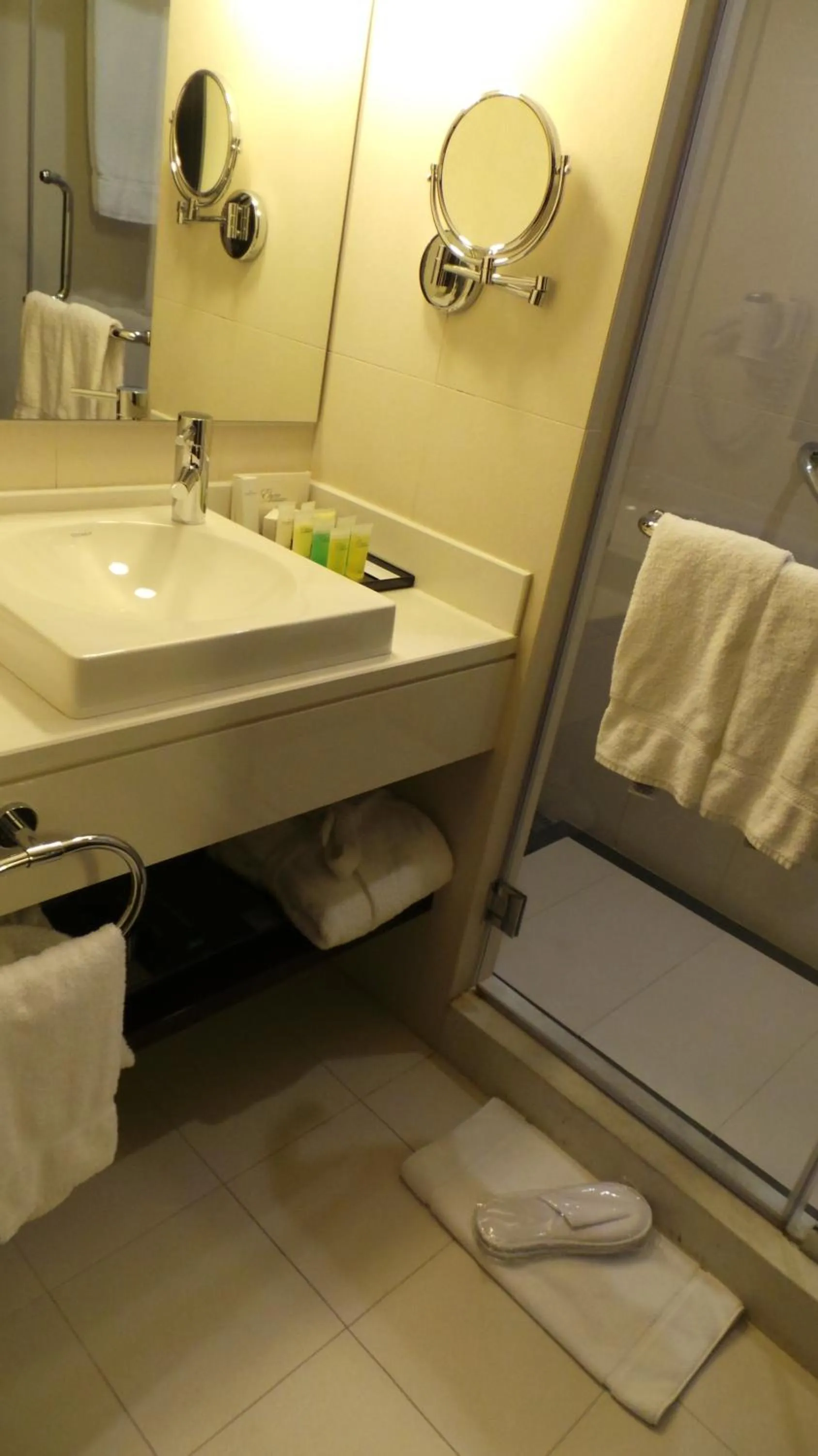 Bathroom in Amman Airport Hotel