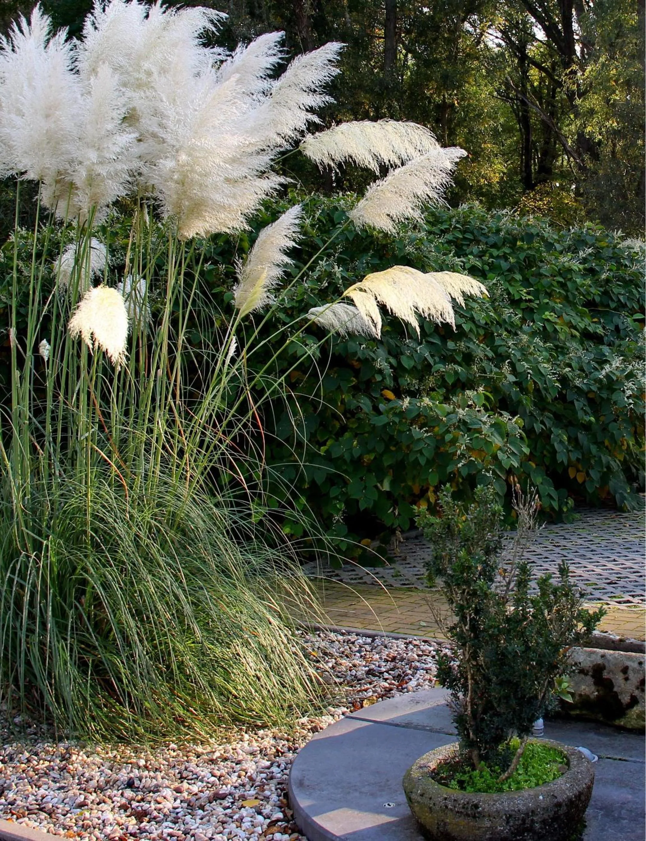 Property building in Hotel Wippertal - voll klimatisiert