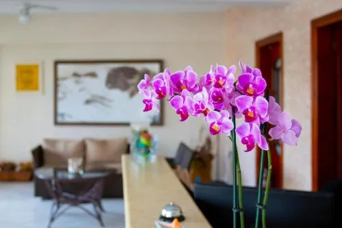 Hotel Dimitria