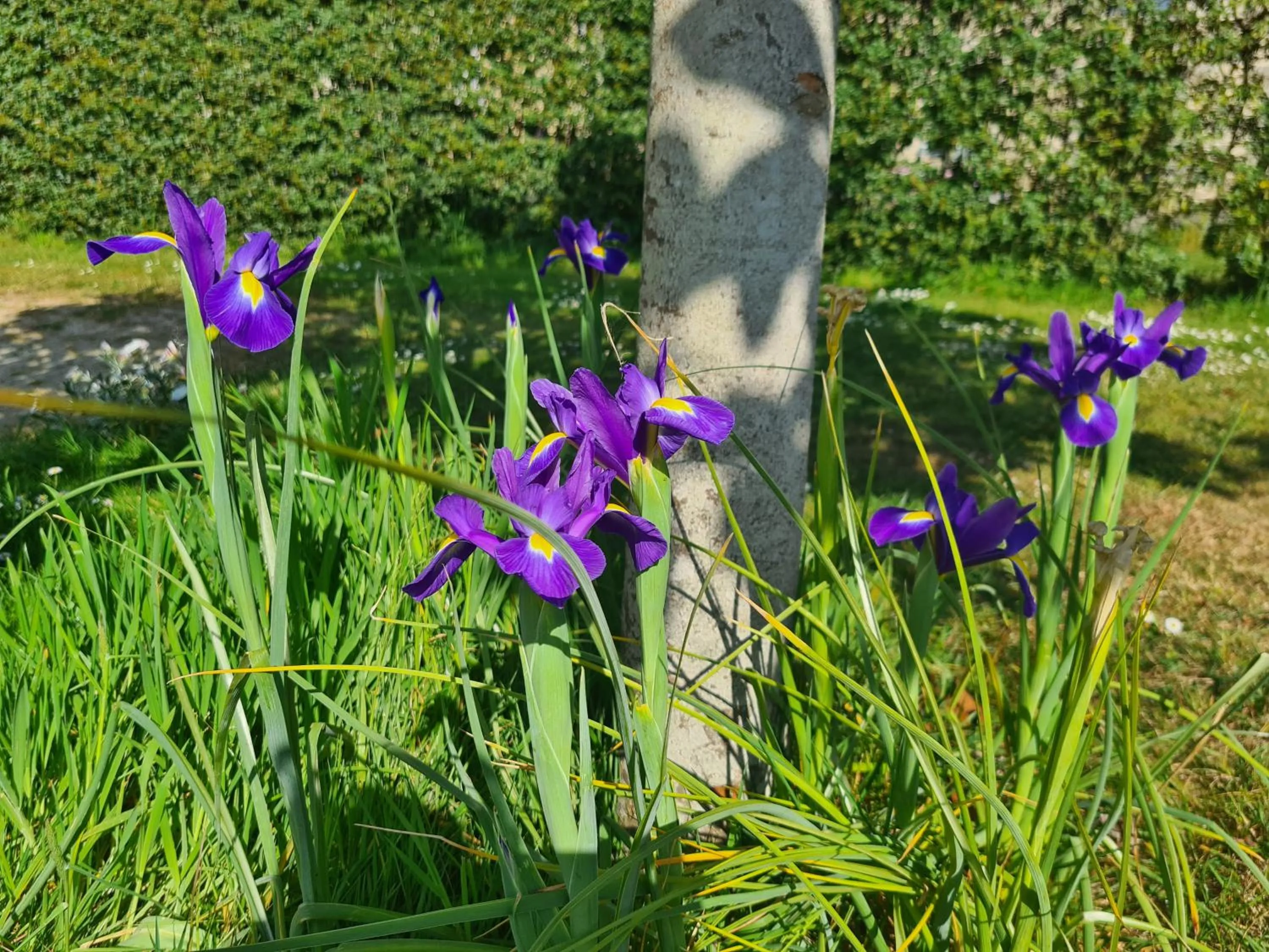 Kêr Neizh Breizh - Gîtes de Charme - Le Petit Châtelier