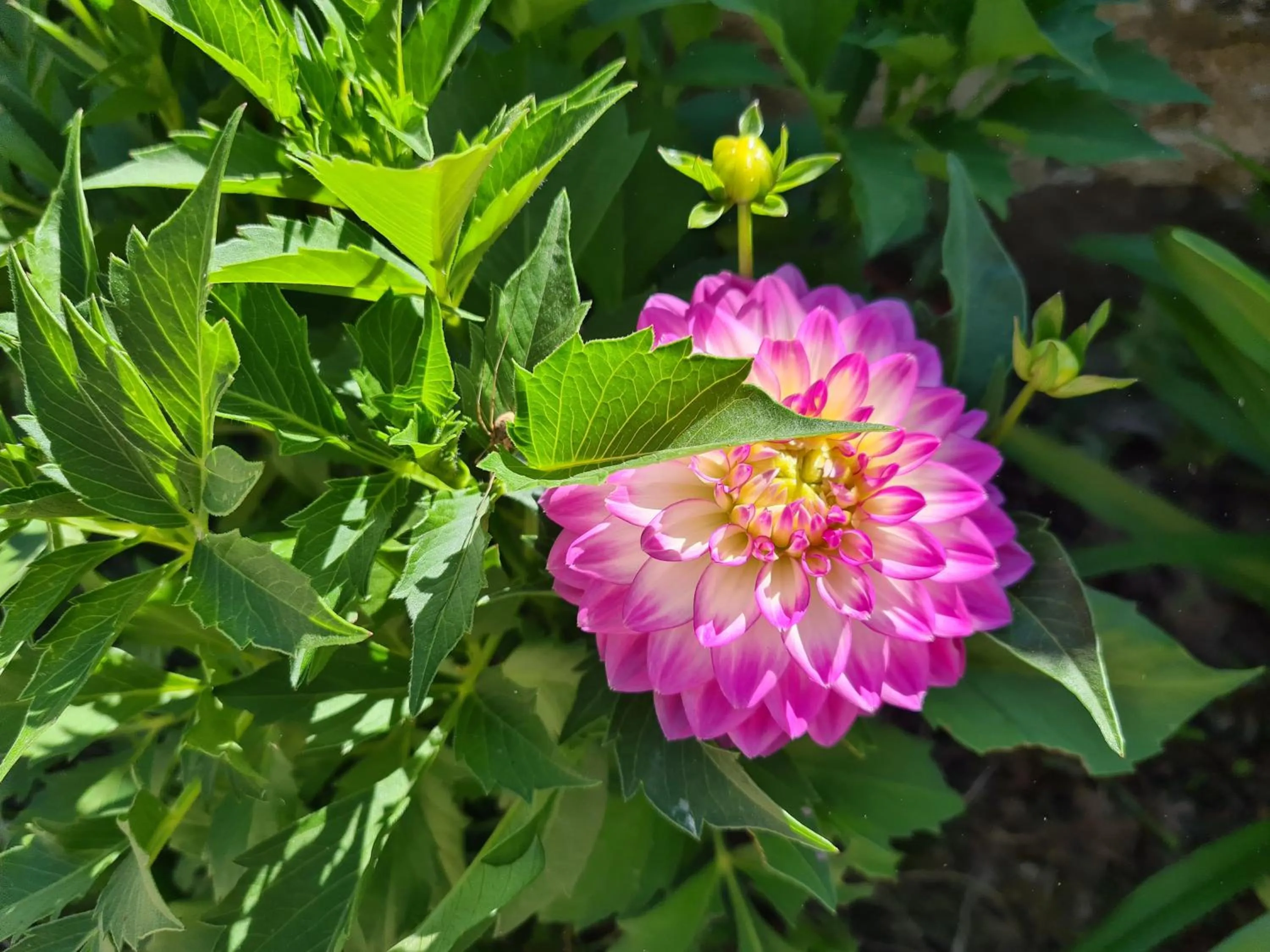 Kêr Neizh Breizh - Gîtes de Charme - Le Petit Châtelier