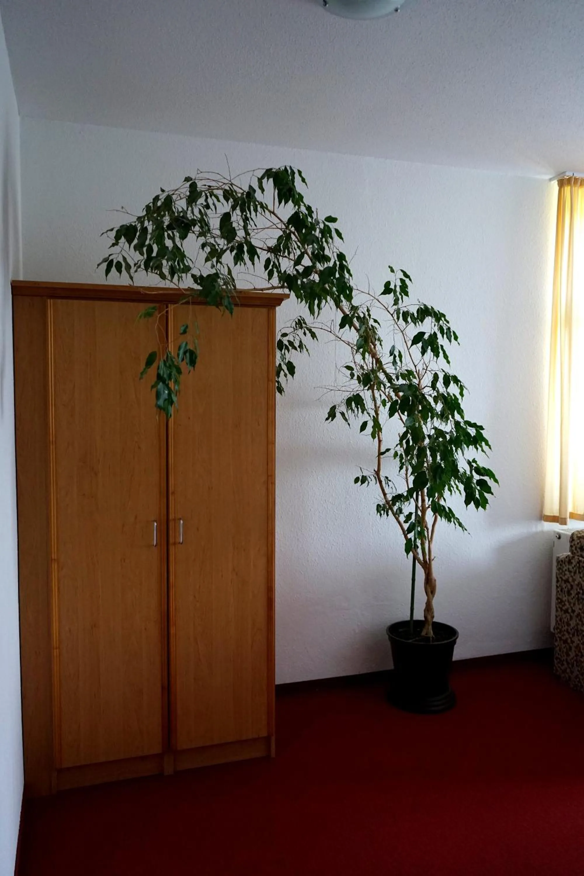 Photo of the whole room in Hainberg Hotel Garni