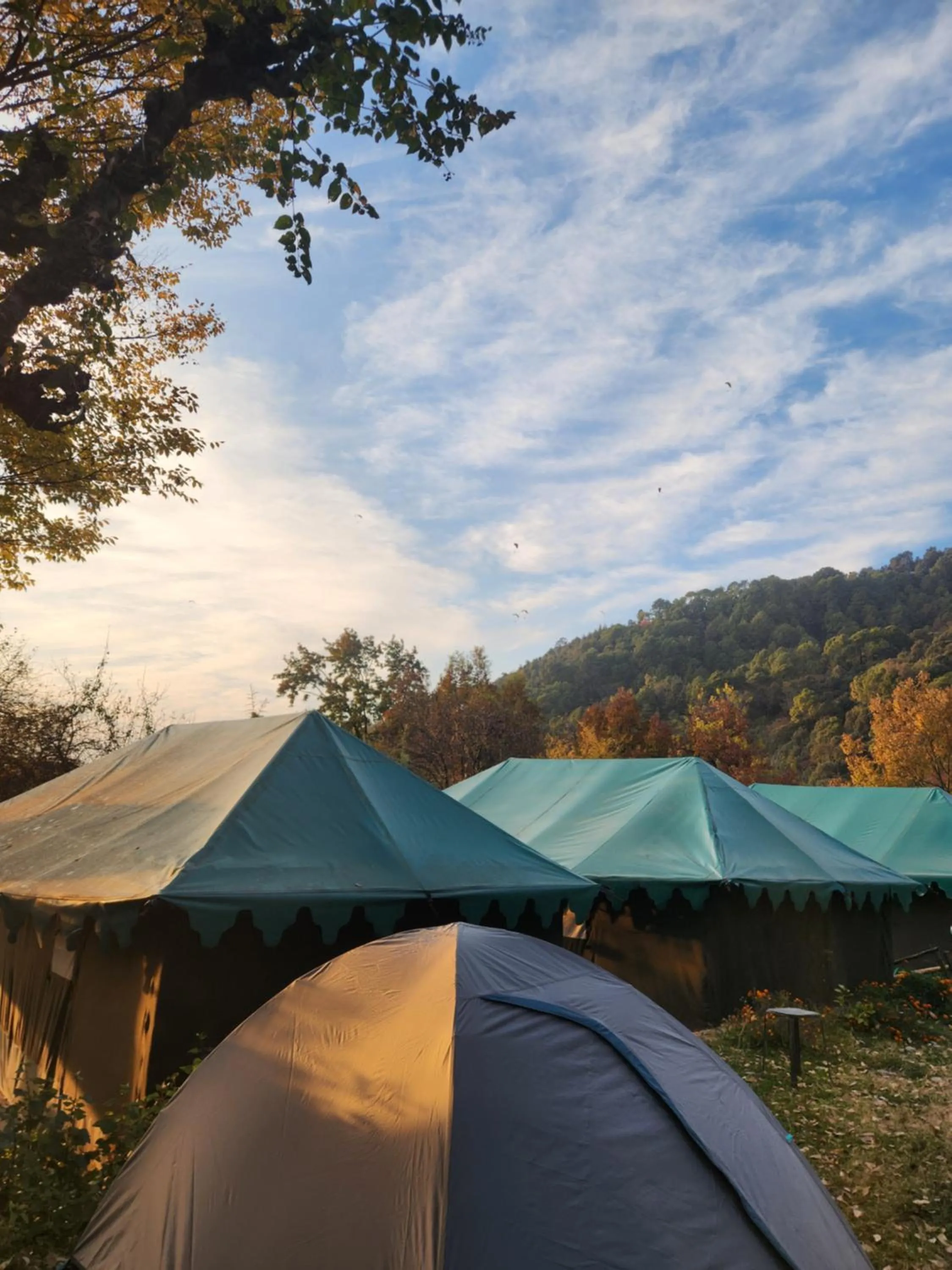 Property building in Monkey Mud House and Camps, Bir