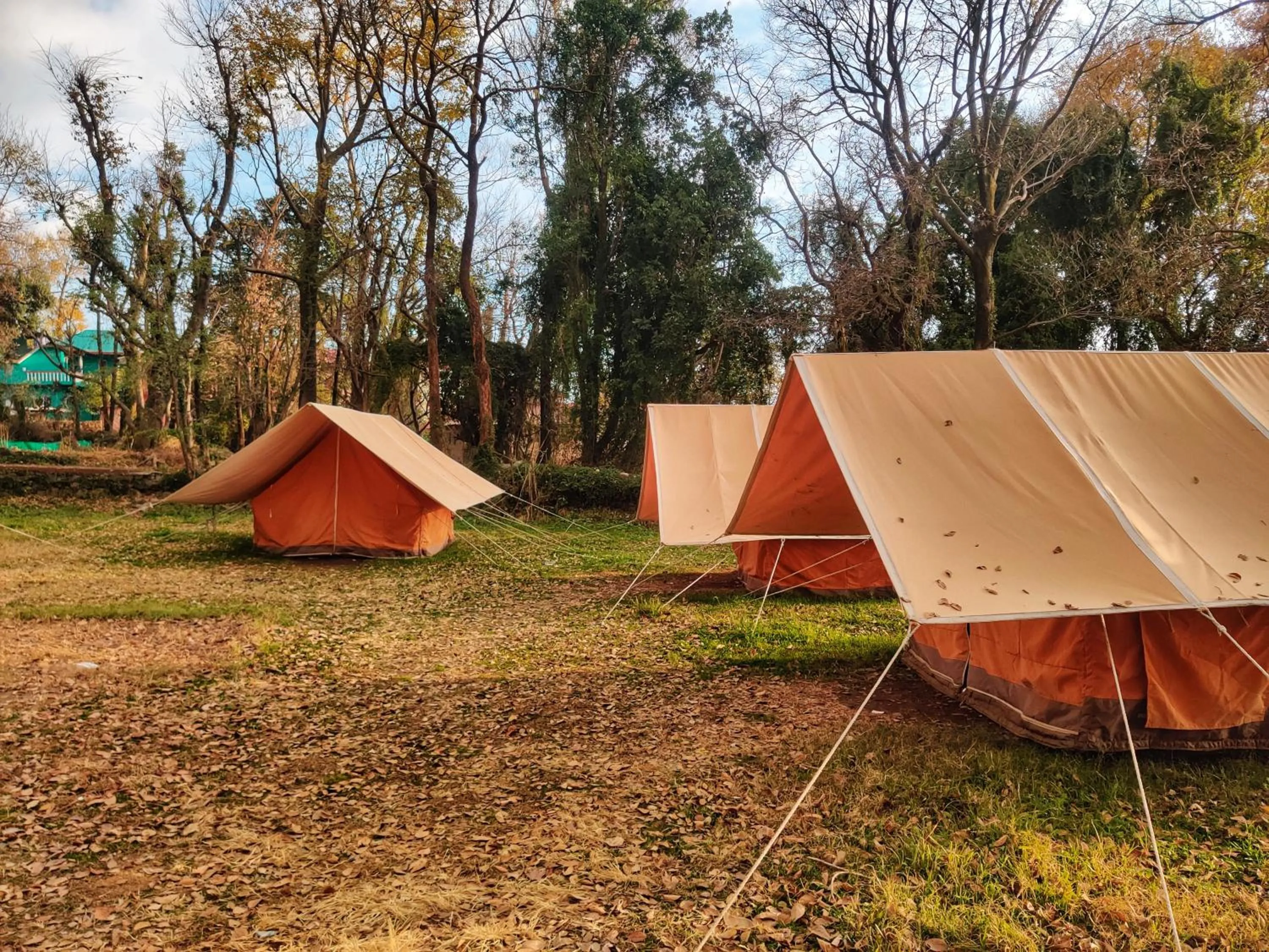 View (from property/room) in Monkey Mud House and Camps, Bir