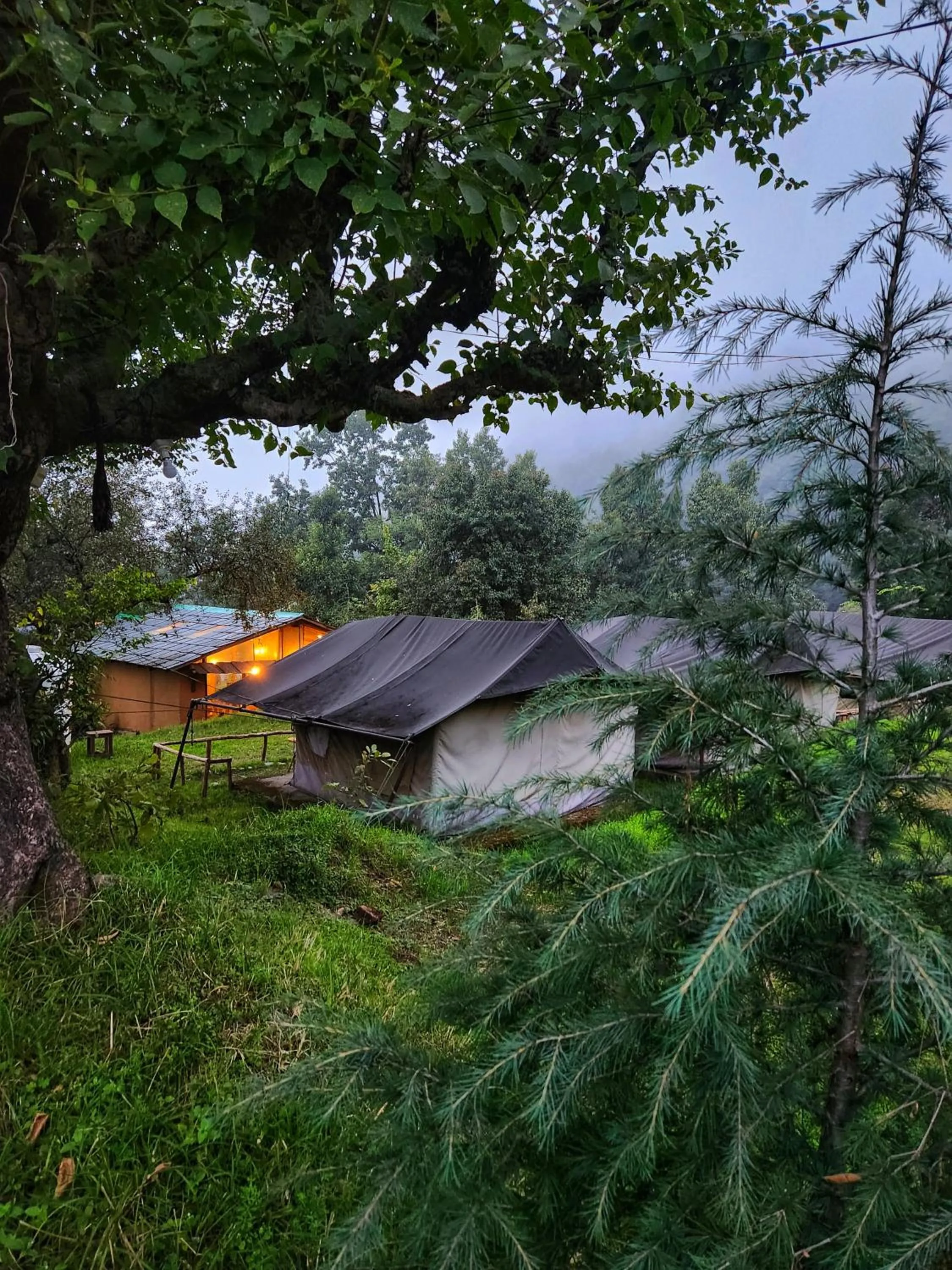 View (from property/room) in Monkey Mud House and Camps, Bir