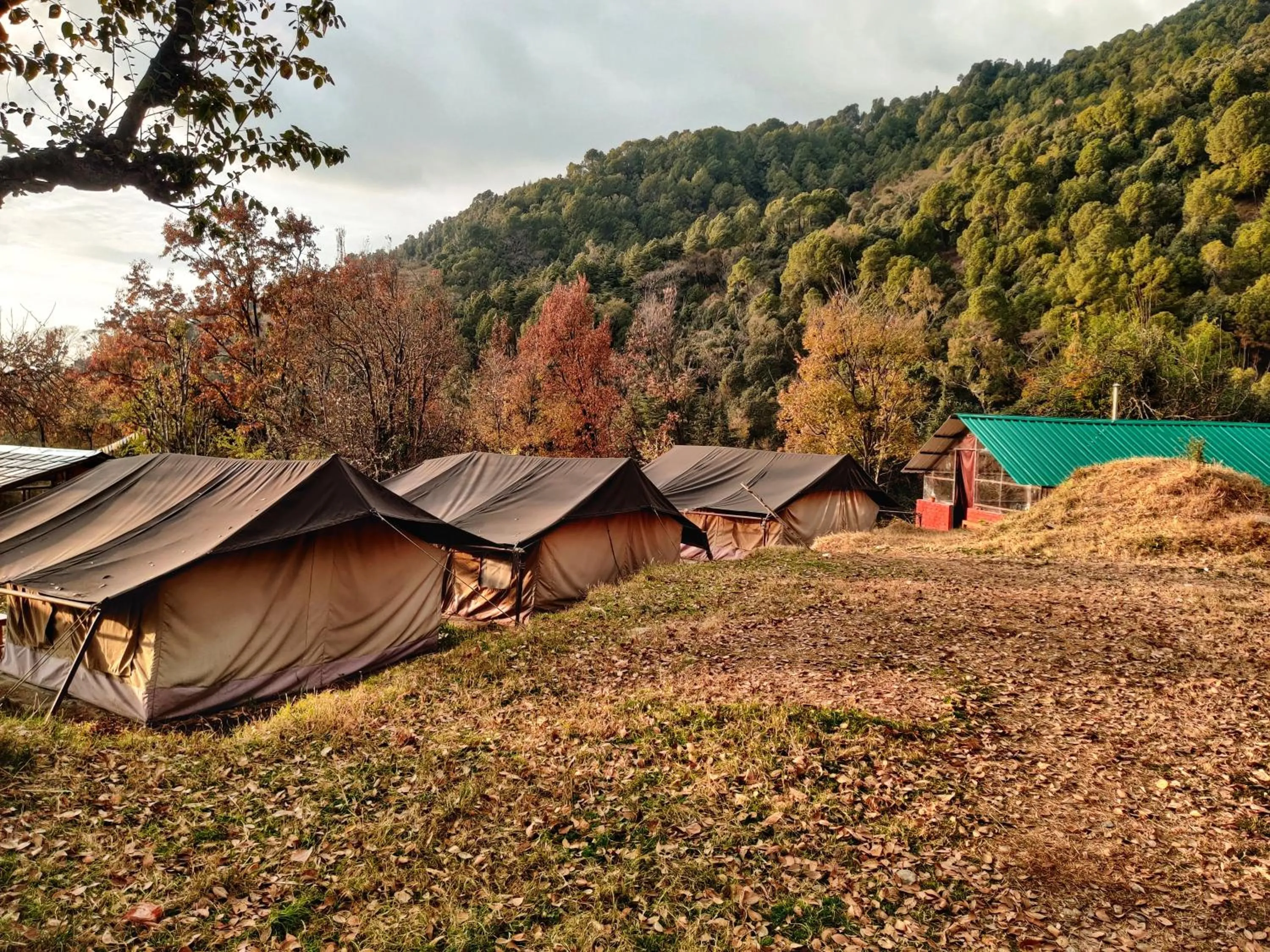 View (from property/room) in Monkey Mud House and Camps, Bir