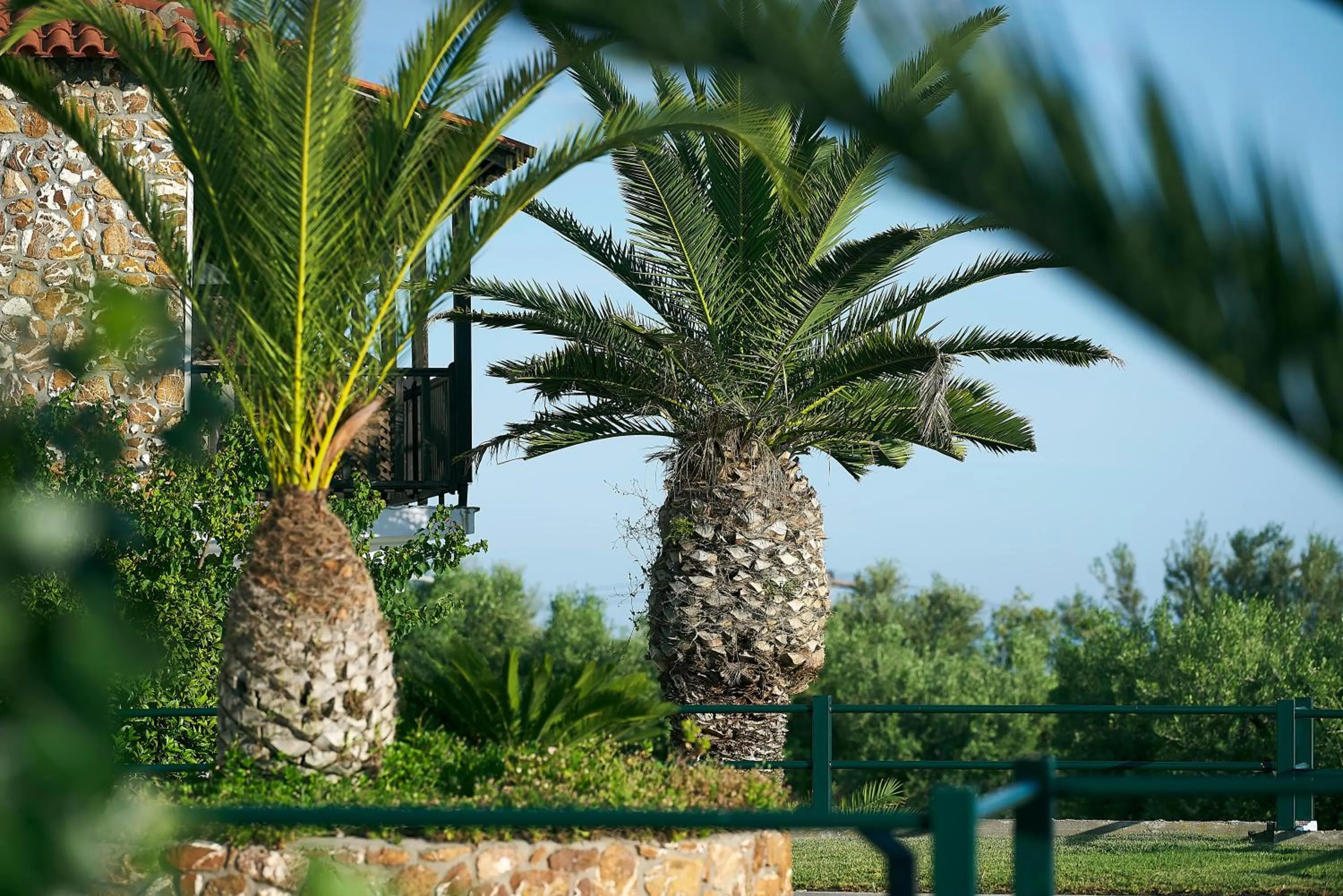 Garden in Glavas Inn Hotel