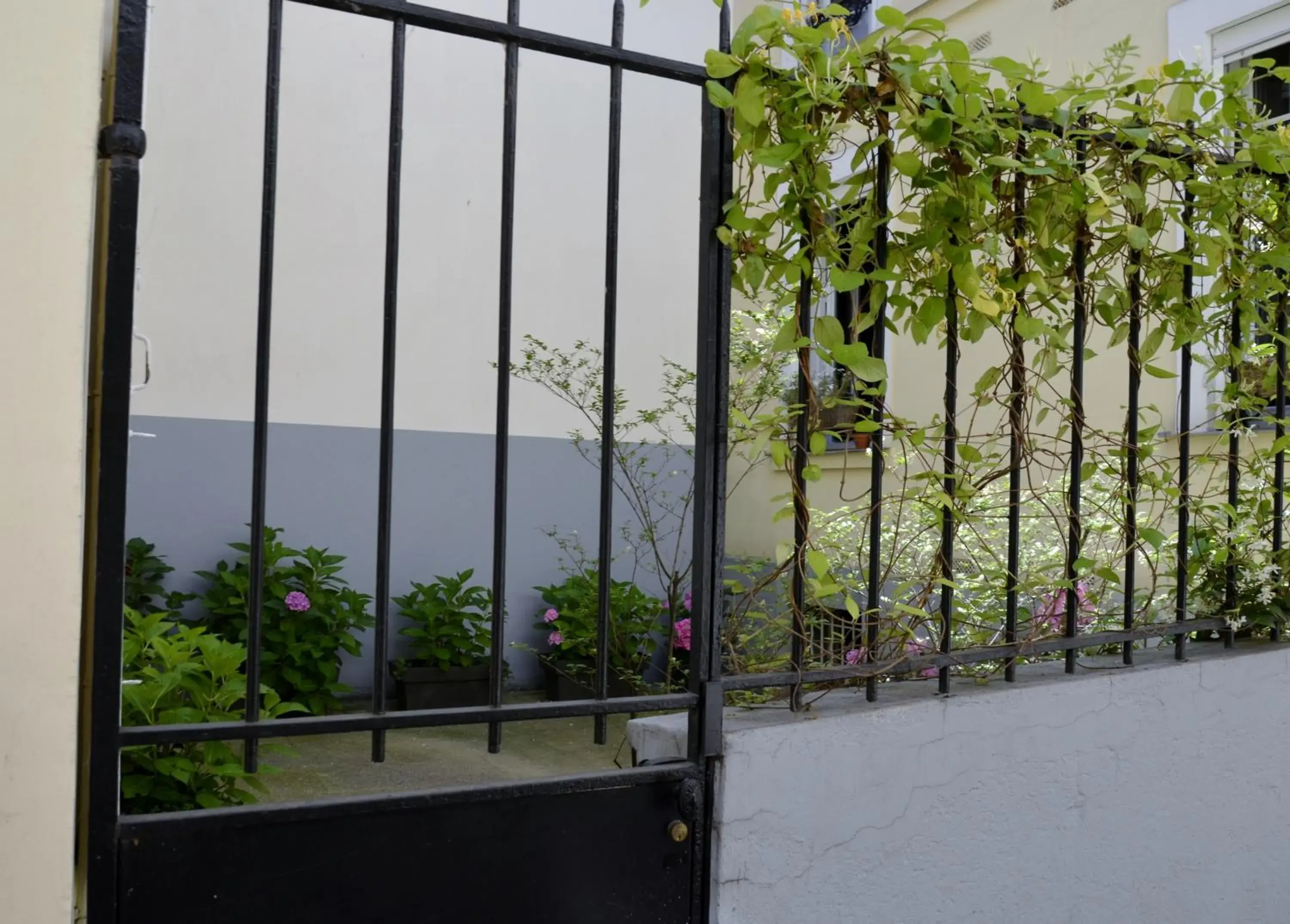 La Cour du 5ème - Chambre d'hôtes La Cour du 5ème - Chambre d'hôtes