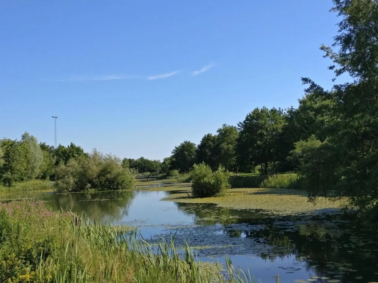 Natural landscape in Vildbjerg Sports Hotel & Kulturcenter