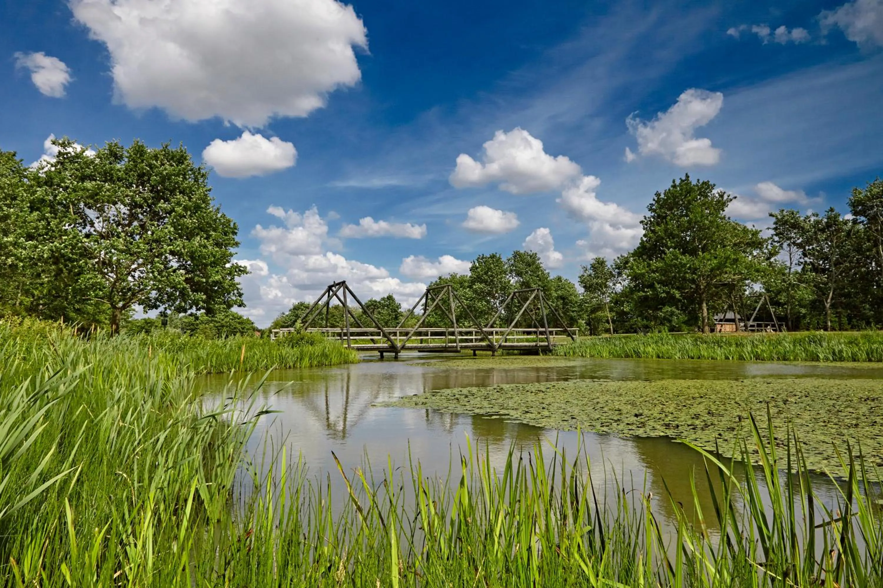 Natural landscape in Vildbjerg Sports Hotel & Kulturcenter