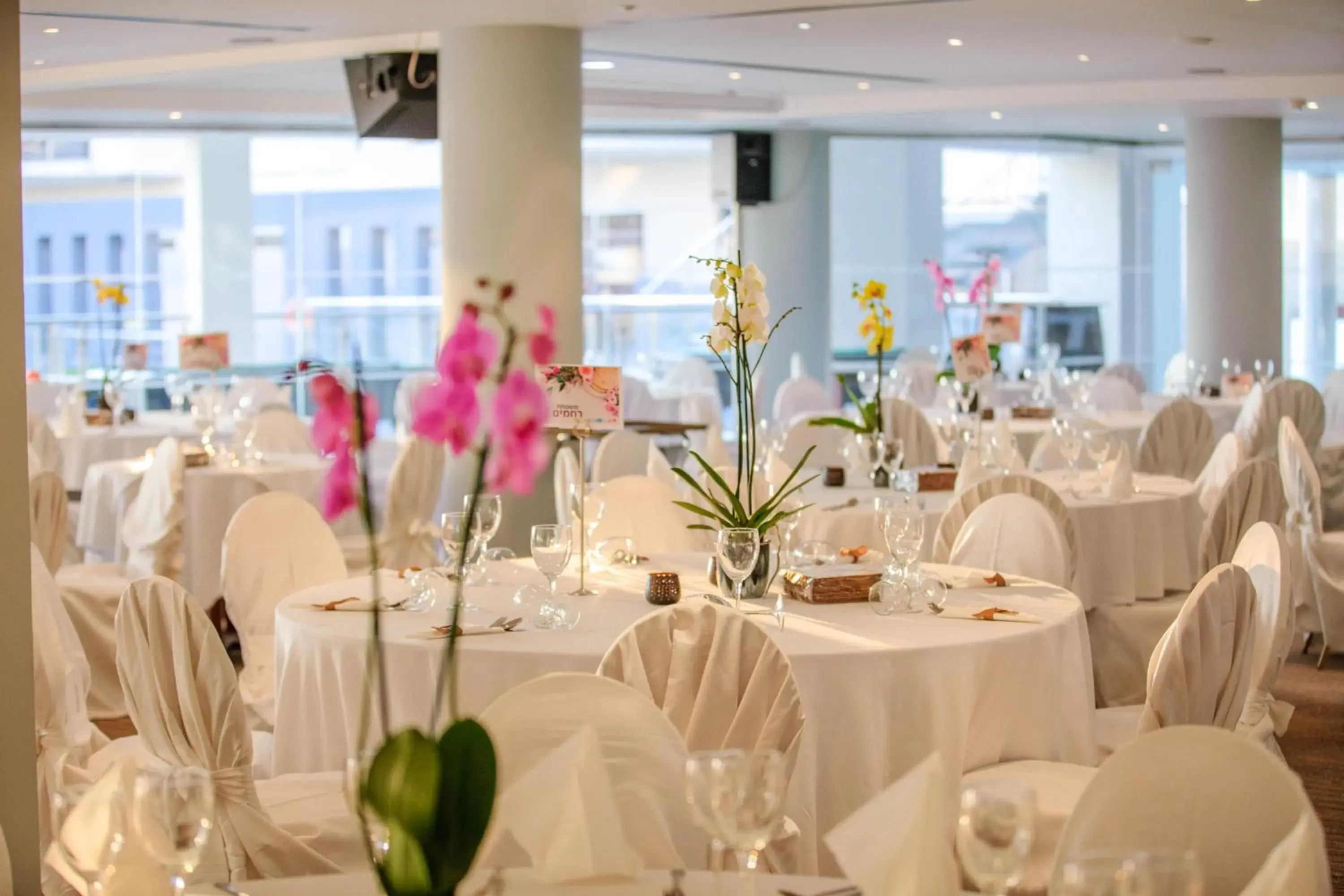 Restaurant/places to eat in Blue Lagoon Kosher Hotel (by Capital Coast Resort & Spa) Restaurant/places to eat in Blue Lagoon Kosher Hotel (by Capital Coast Resort & Spa)