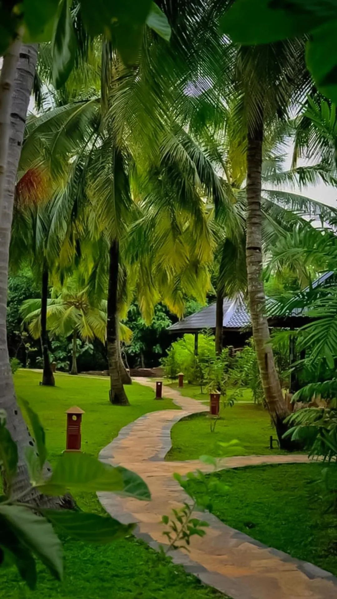 Garden in Silver crown nature resort