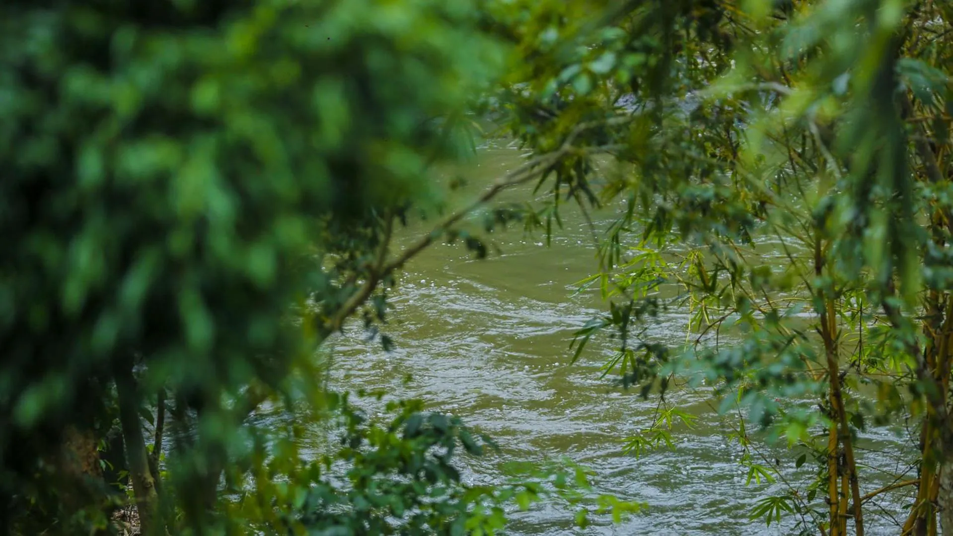 River view in Silver crown nature resort