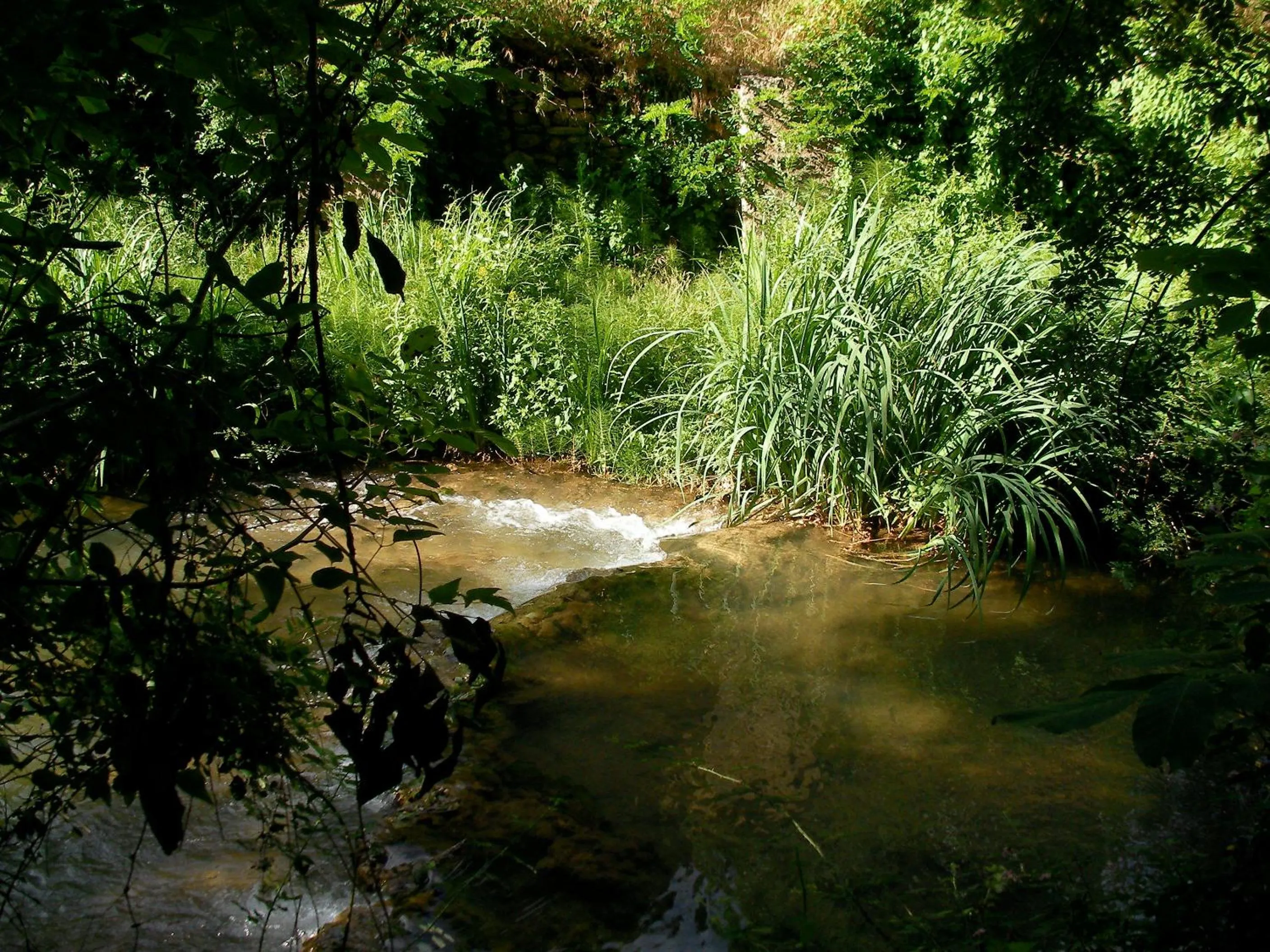 Natural landscape in Le Vieux Moulin de Jouques