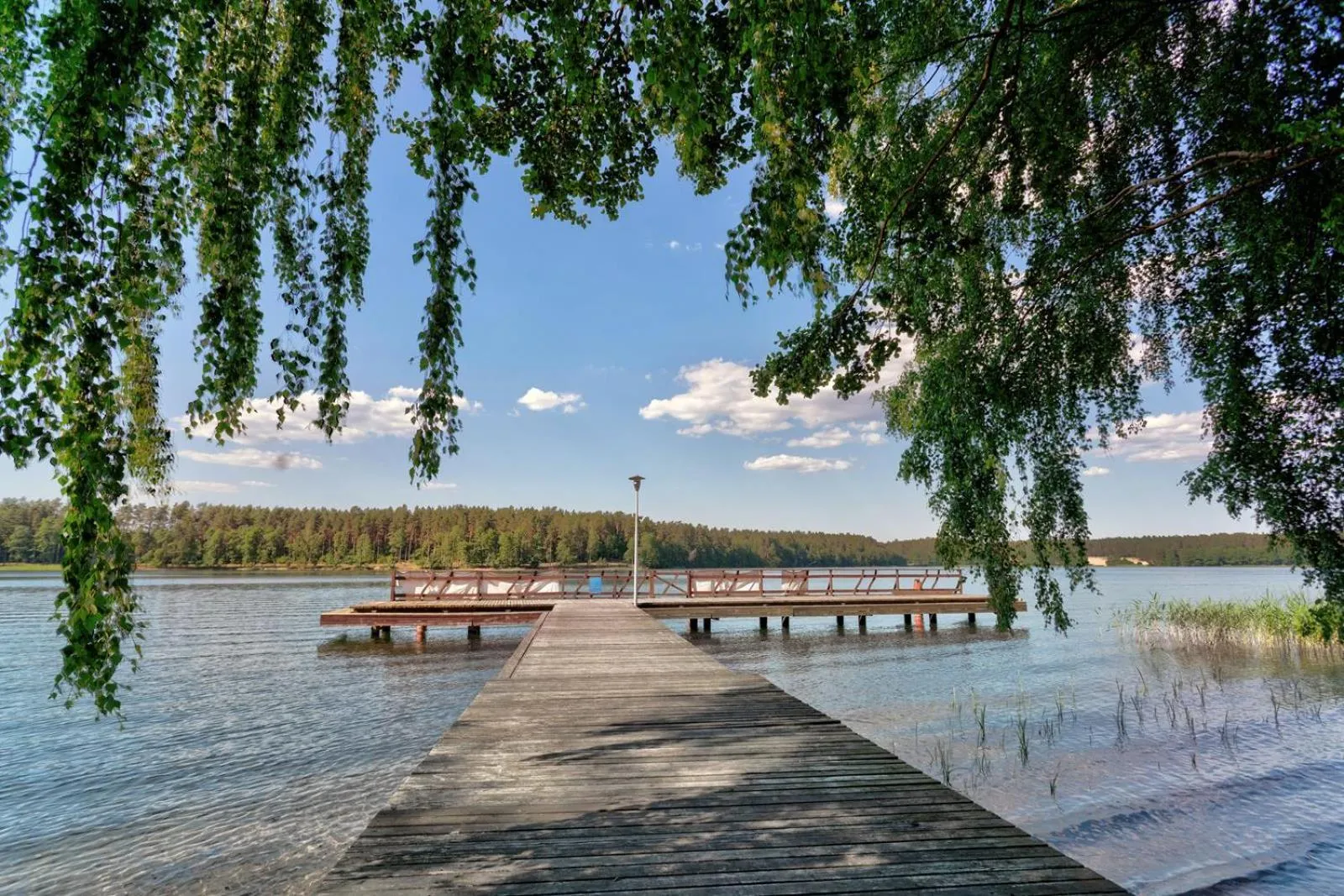 Natural landscape in Hotel Wojciech