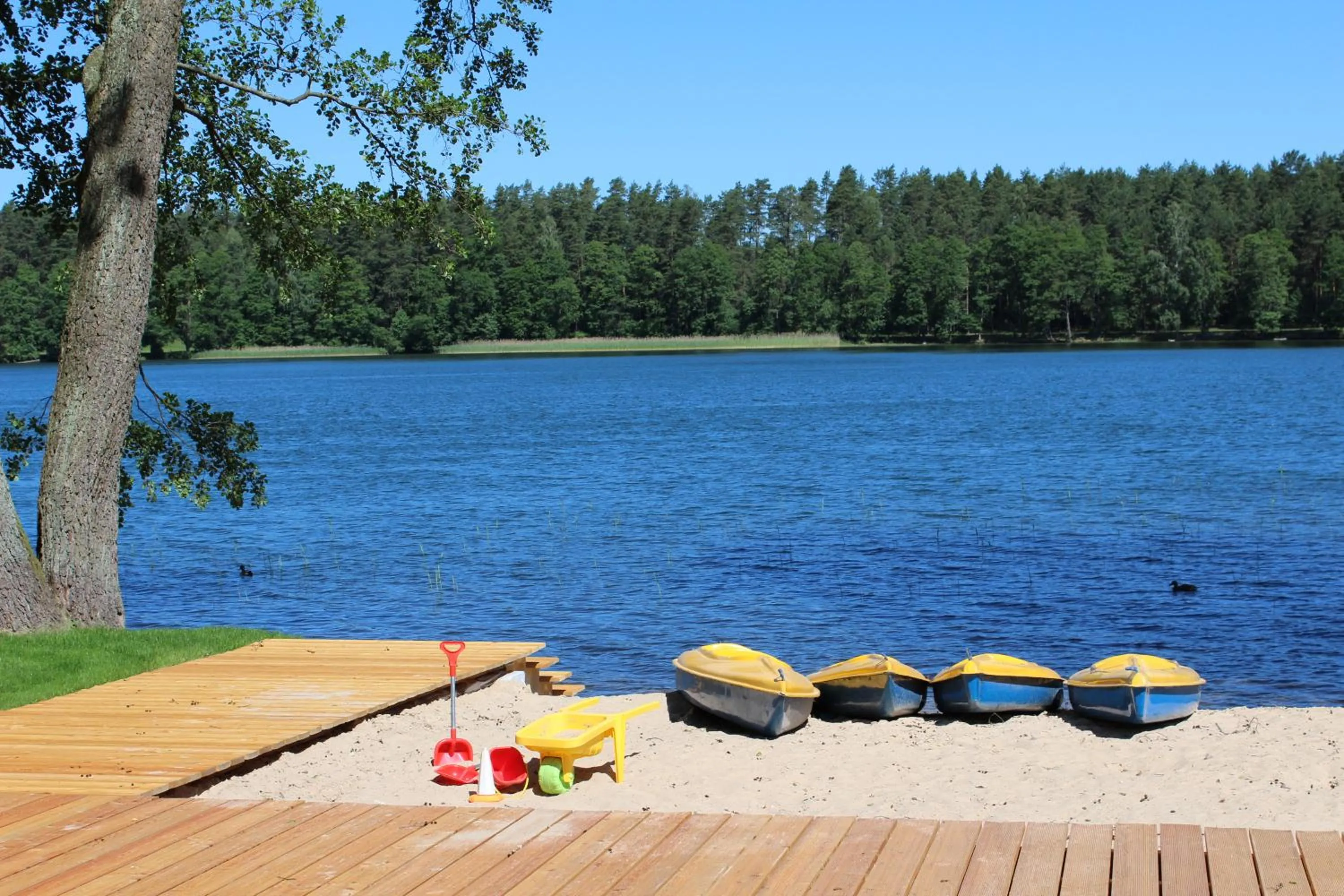 Natural landscape in Hotel Wojciech