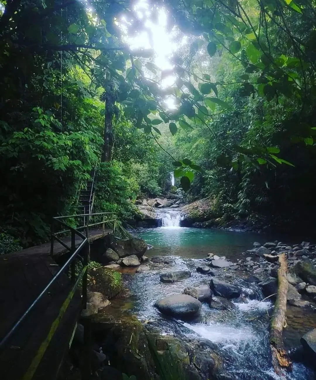 Apartahotel Playa Luna