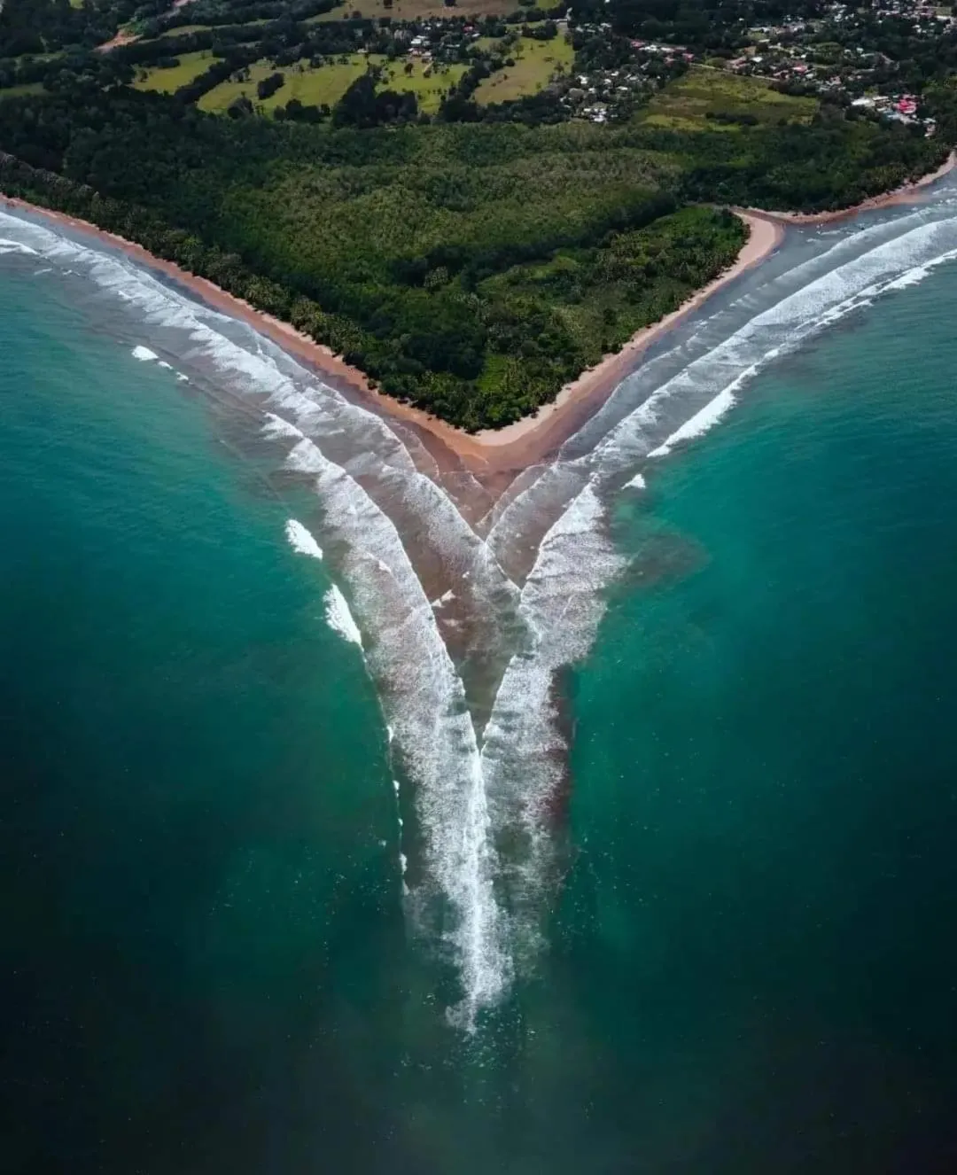 Apartahotel Playa Luna