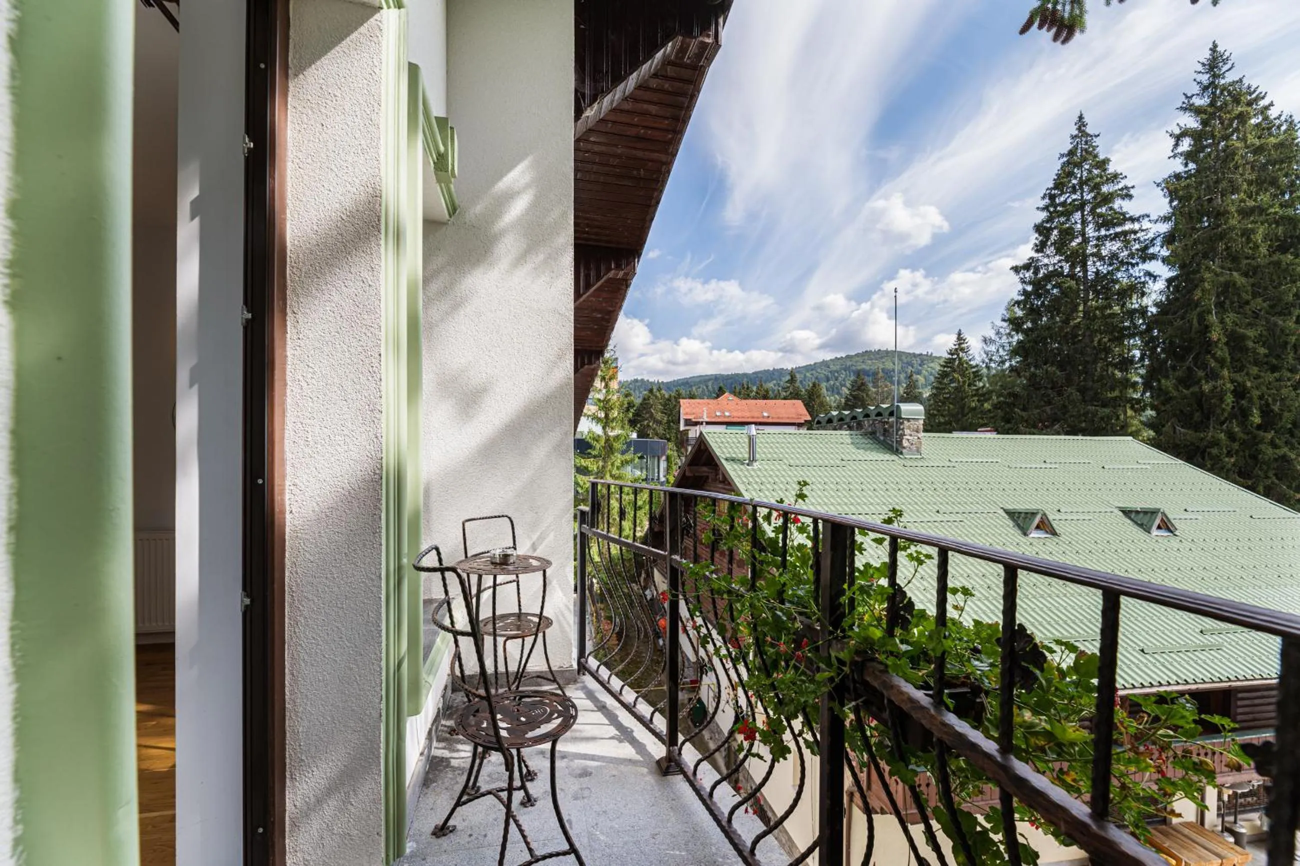 Balcony/Terrace in Pensiunea Hilltop