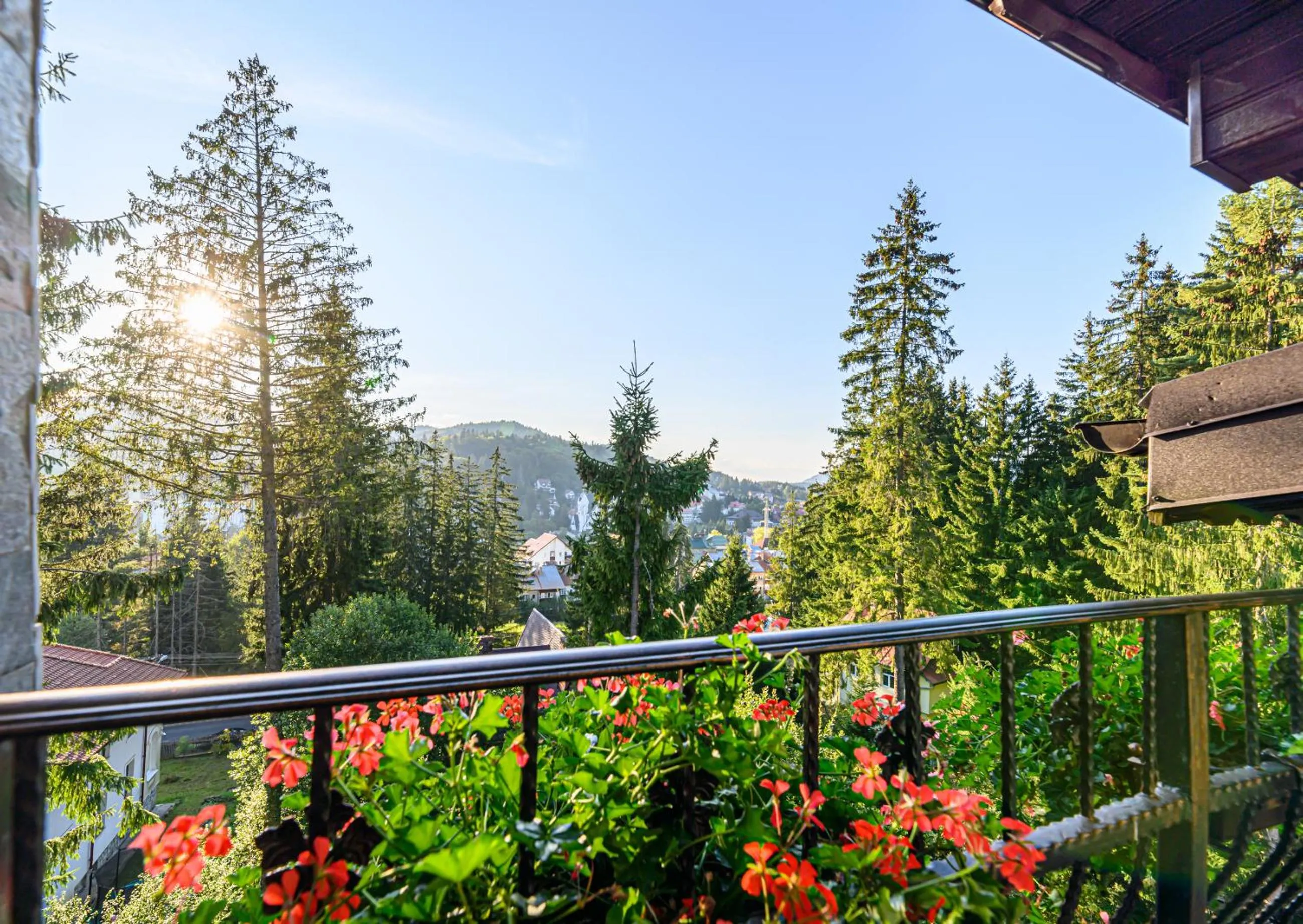 Balcony/Terrace in Pensiunea Hilltop