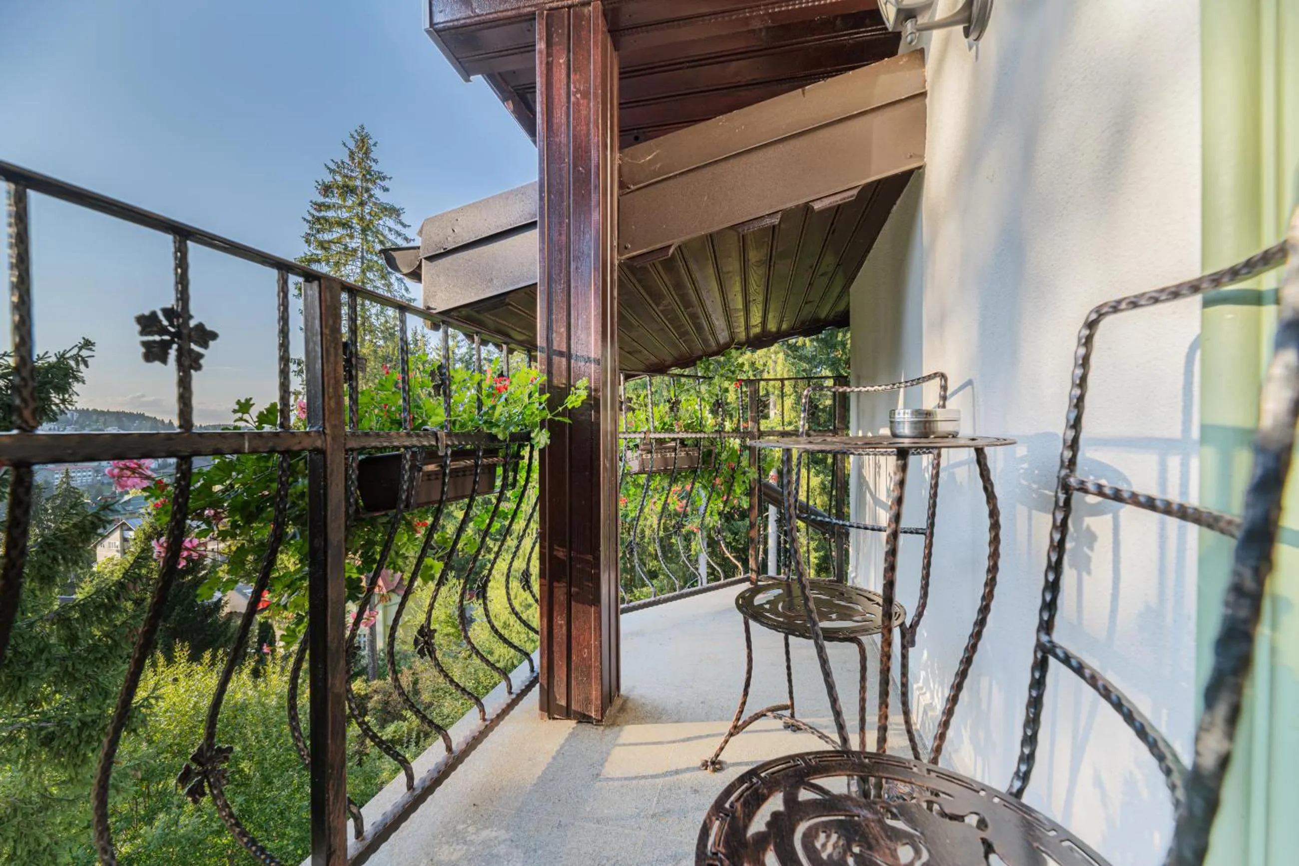 Balcony/Terrace in Pensiunea Hilltop