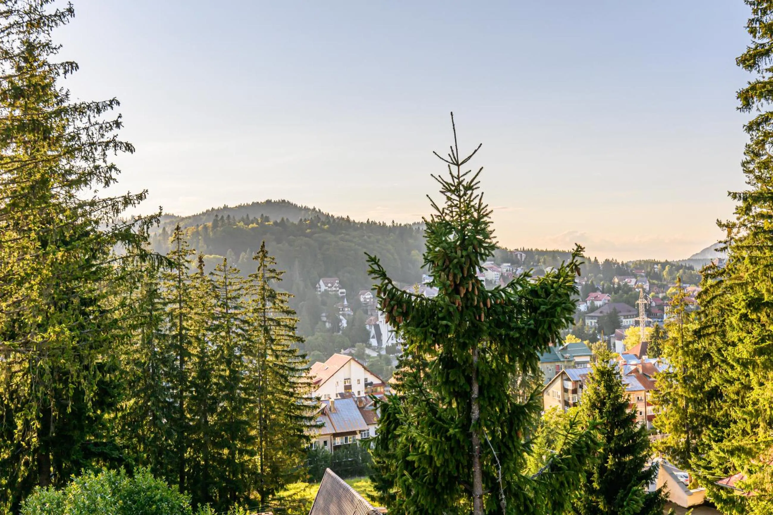 View (from property/room) in Pensiunea Hilltop