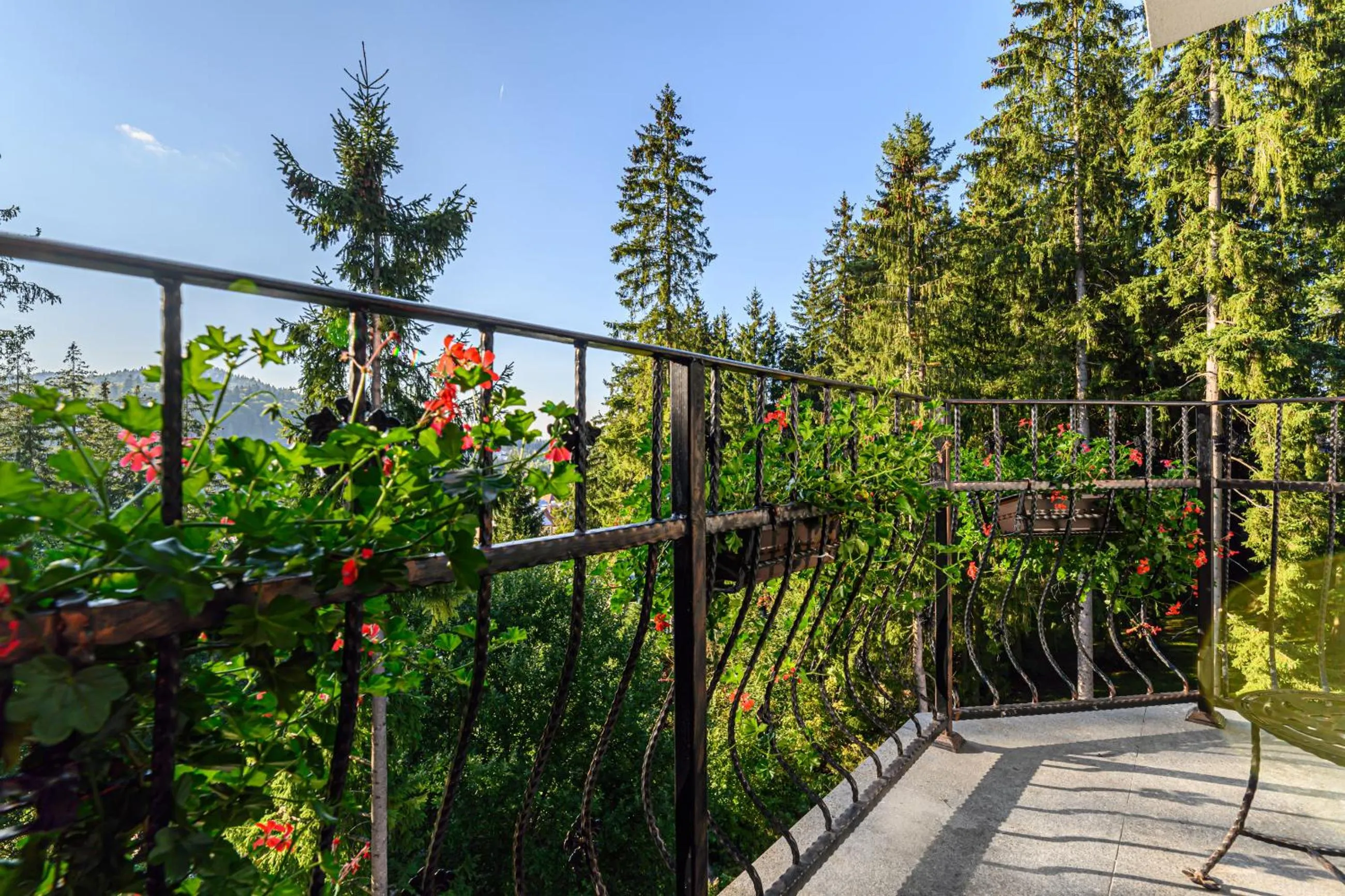 Balcony/Terrace in Pensiunea Hilltop