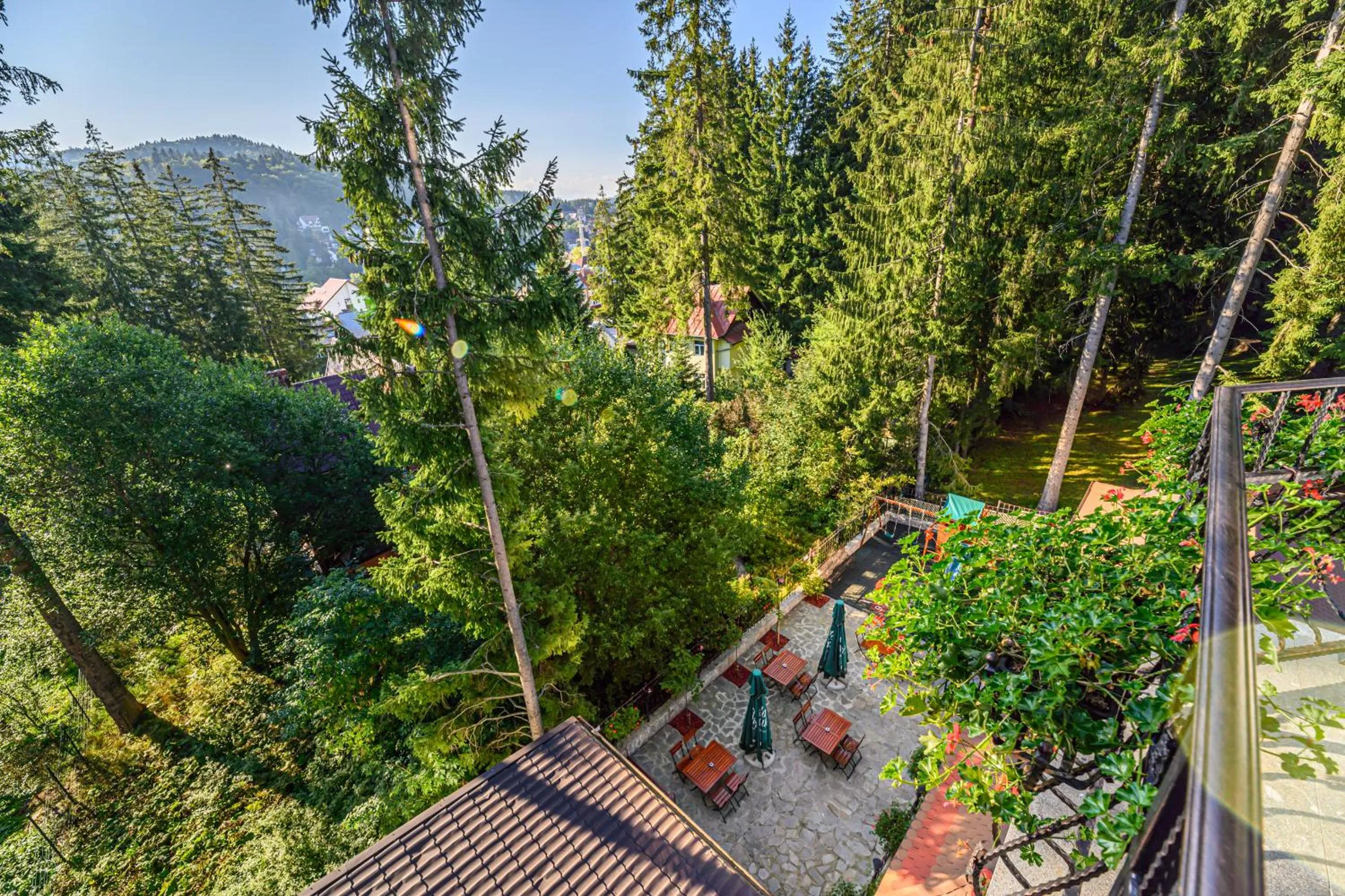 Balcony/Terrace in Pensiunea Hilltop