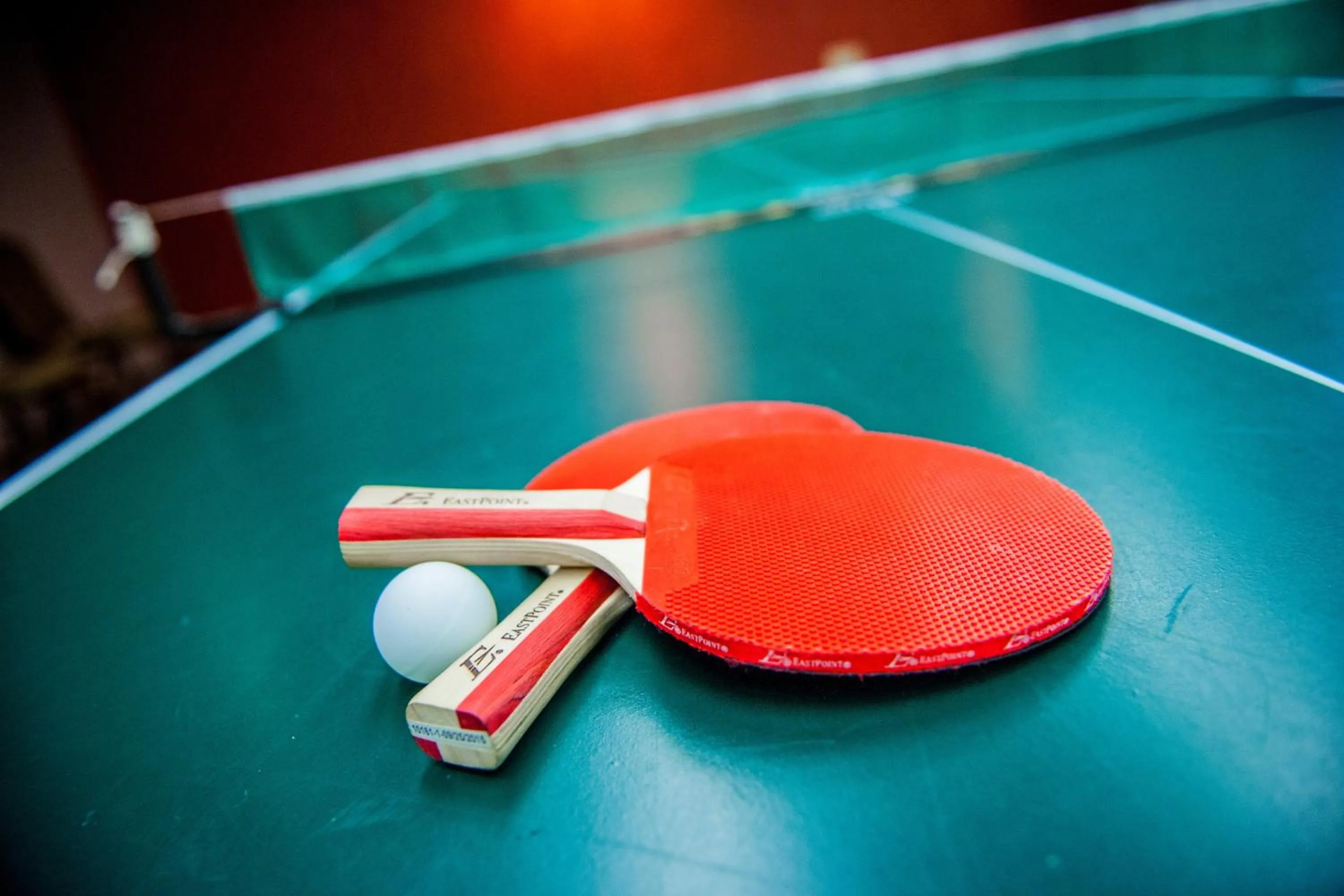 Game Room in Hôtel Castel