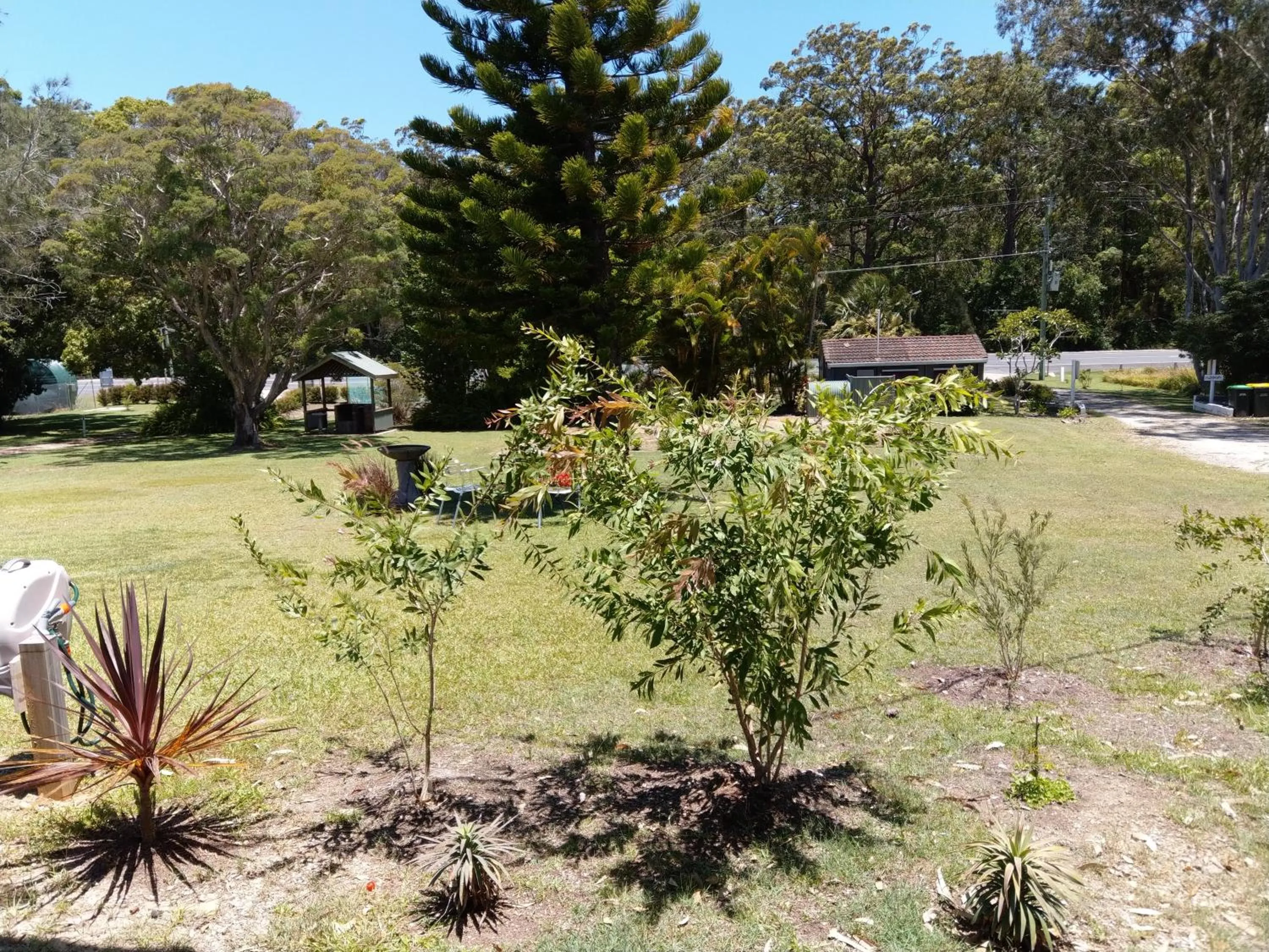 Natural landscape in Jabiru Motel