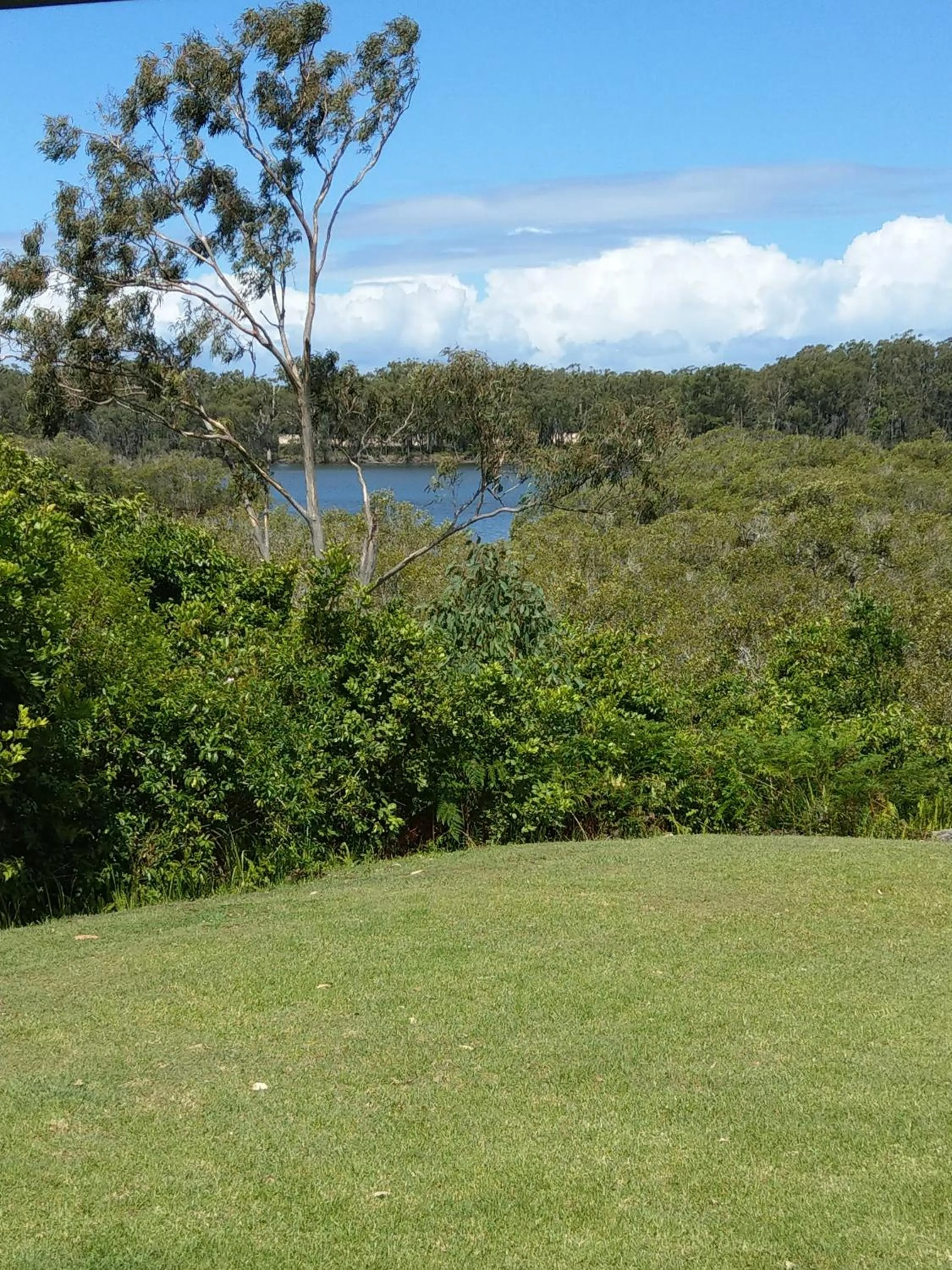 Natural landscape in Jabiru Motel