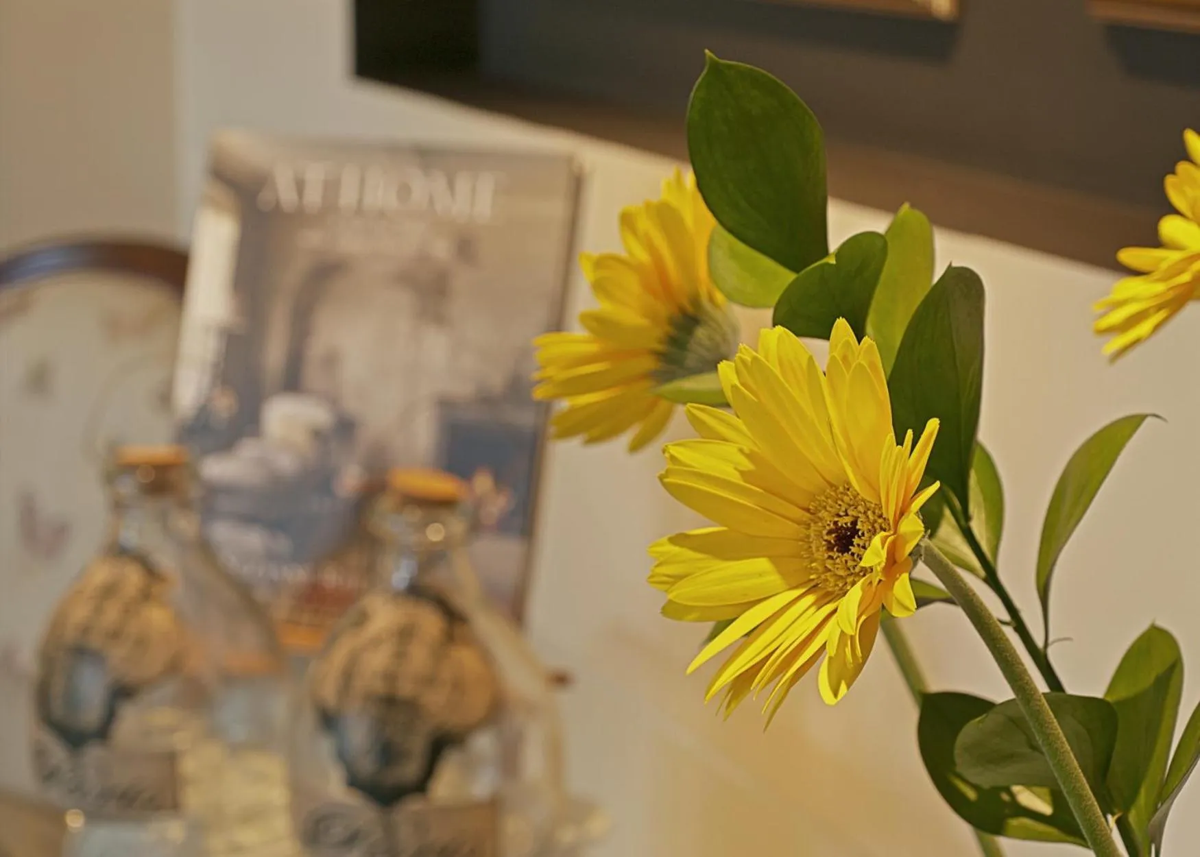 Lobby or reception in Villa Te Soro Bed and breakfast