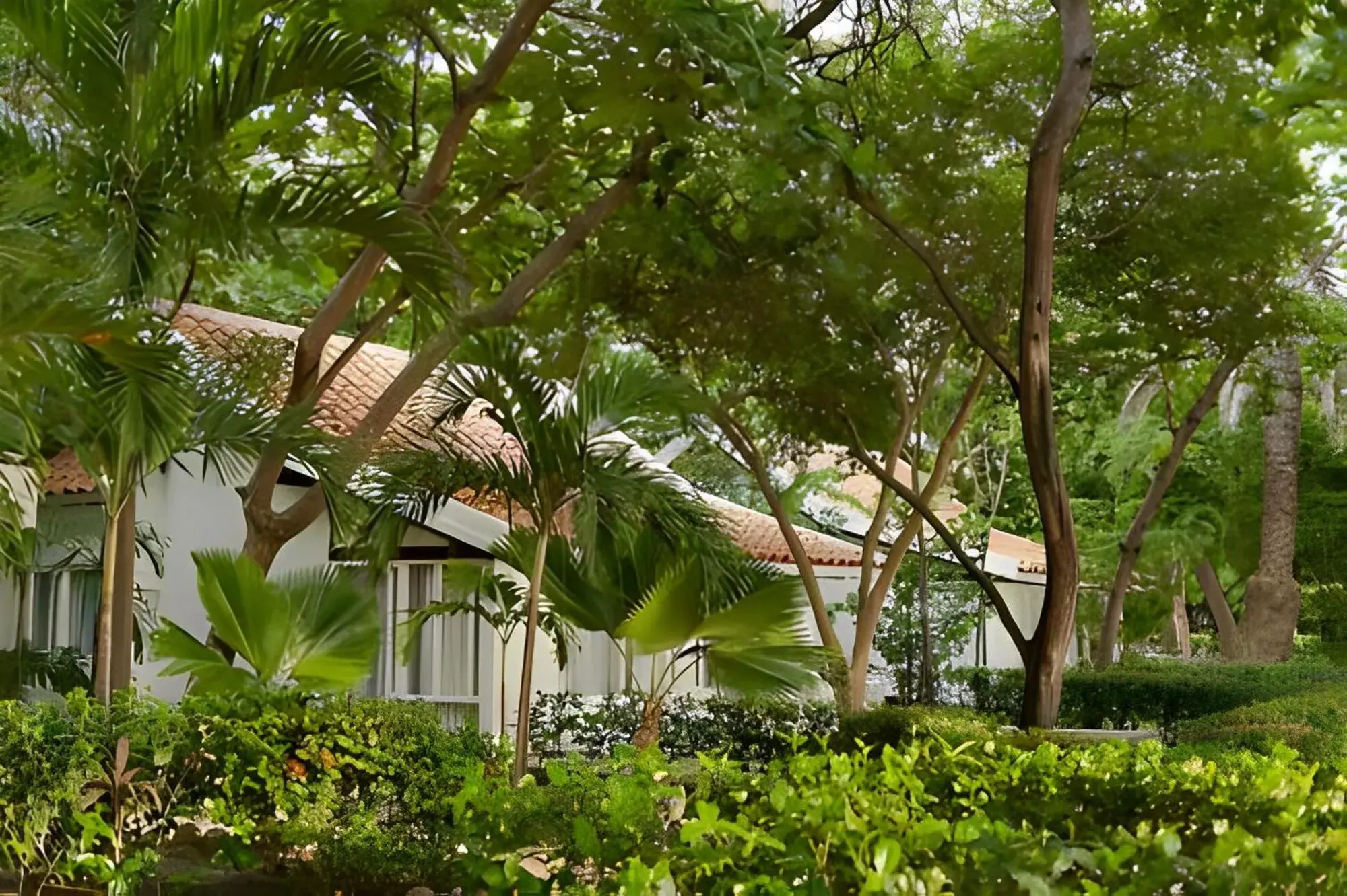 Standard Bungalow - single occupancy in Hotel Irotama Lago Standard Bungalow - single occupancy in Hotel Irotama Lago