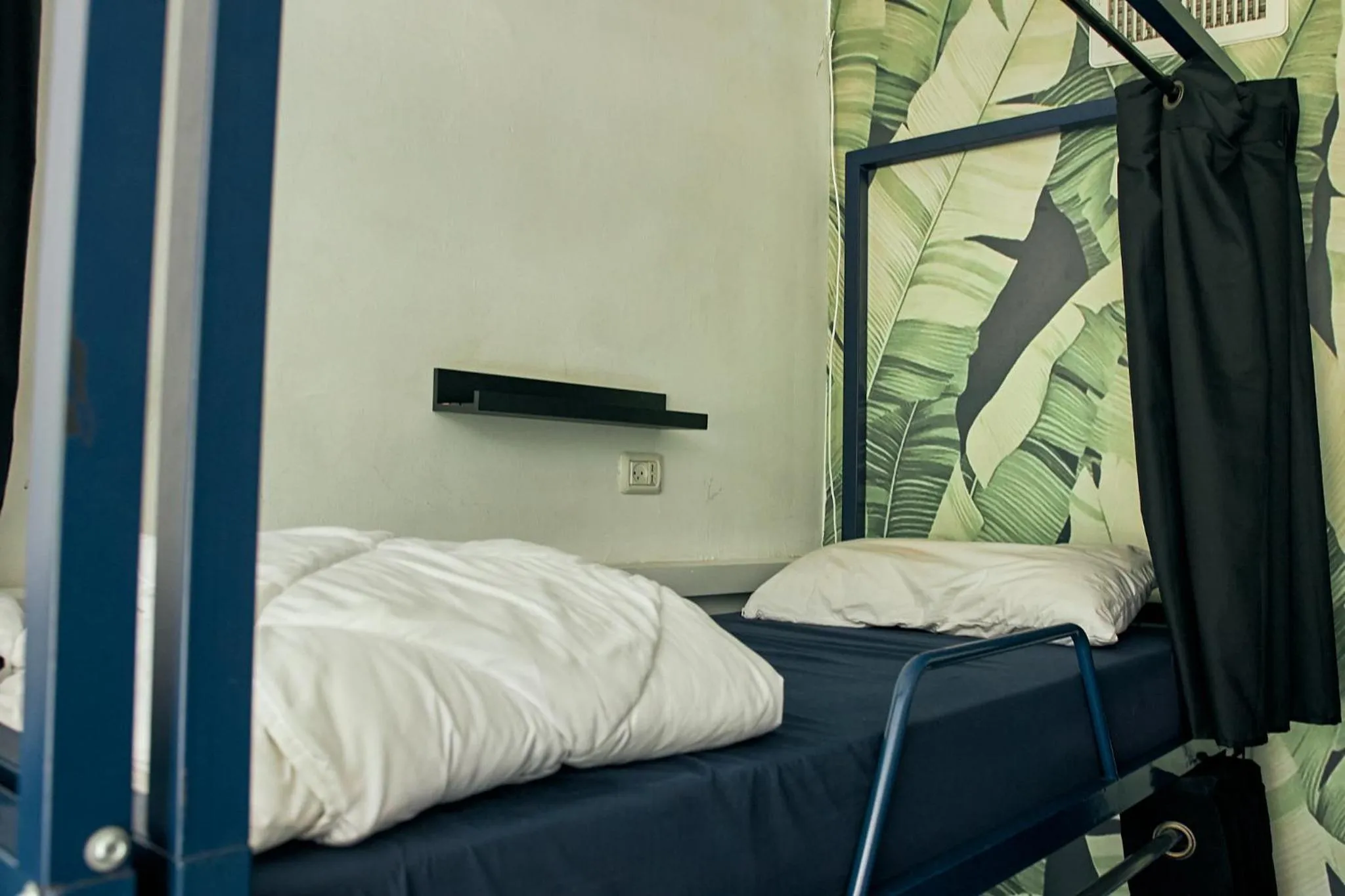 Bed in Jungle Jaffa Hostel Age 18 to 45