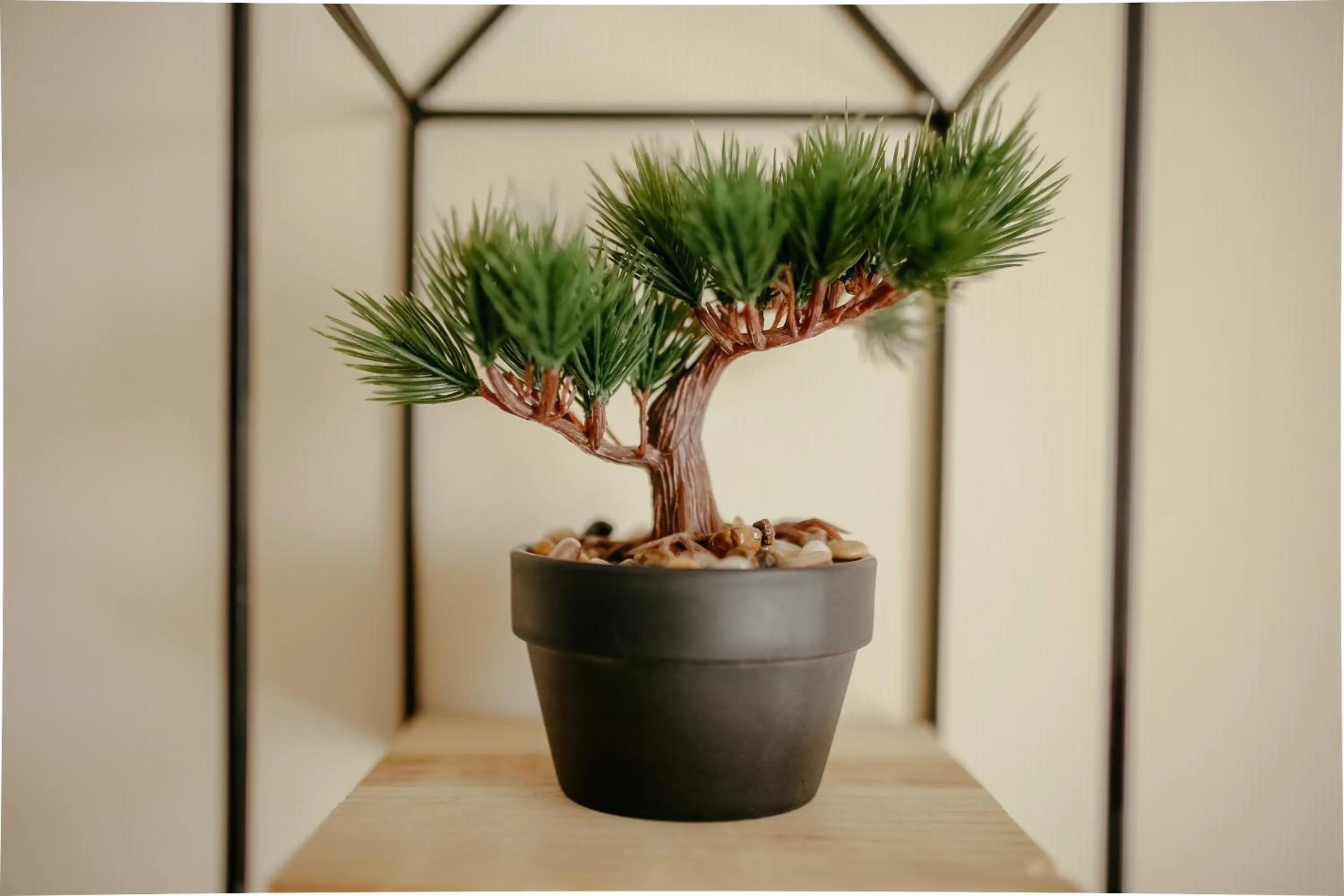 Maisako's New Gudauri Apartment