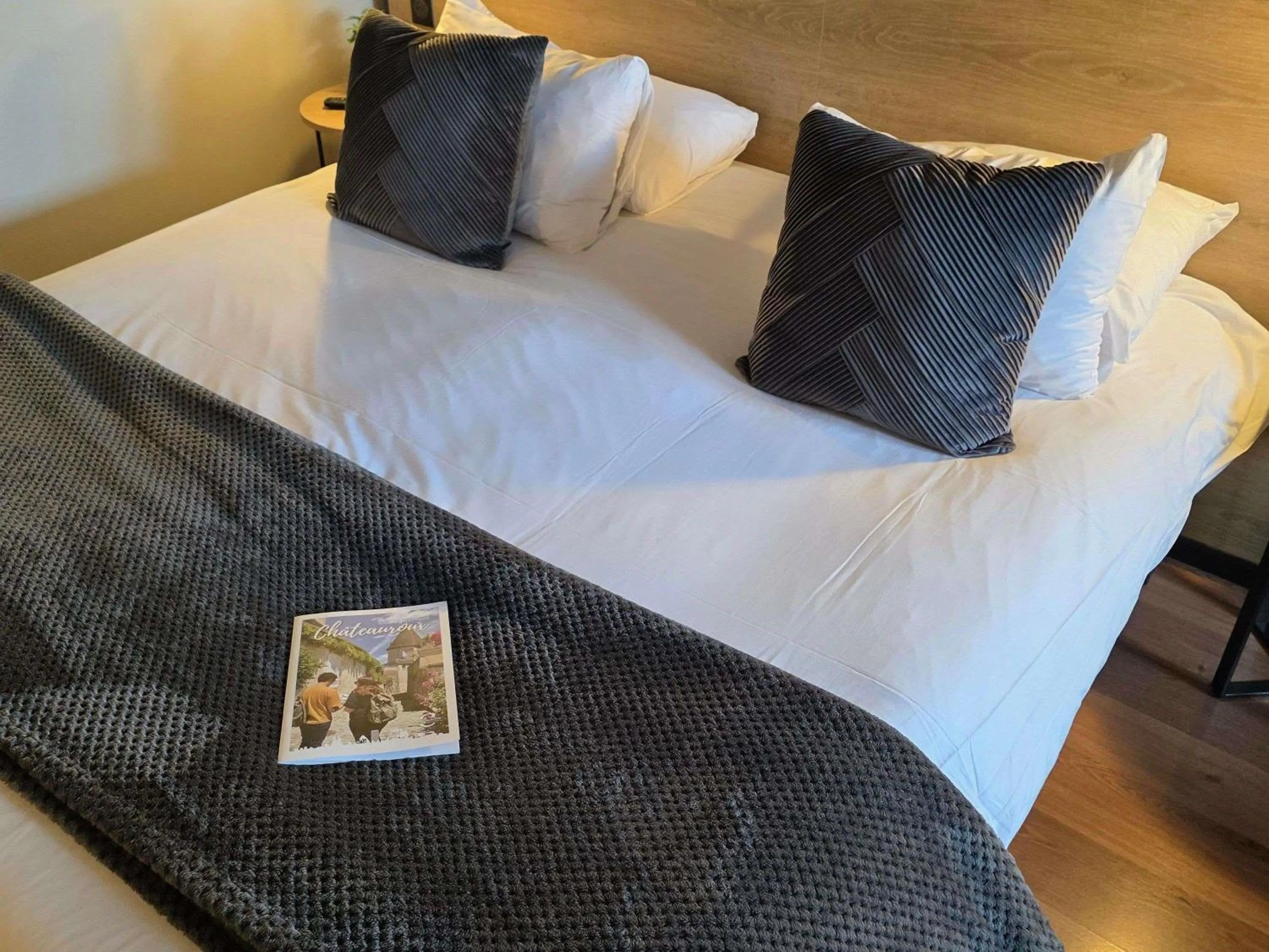 Bedroom, Bed in ibis Chateauroux