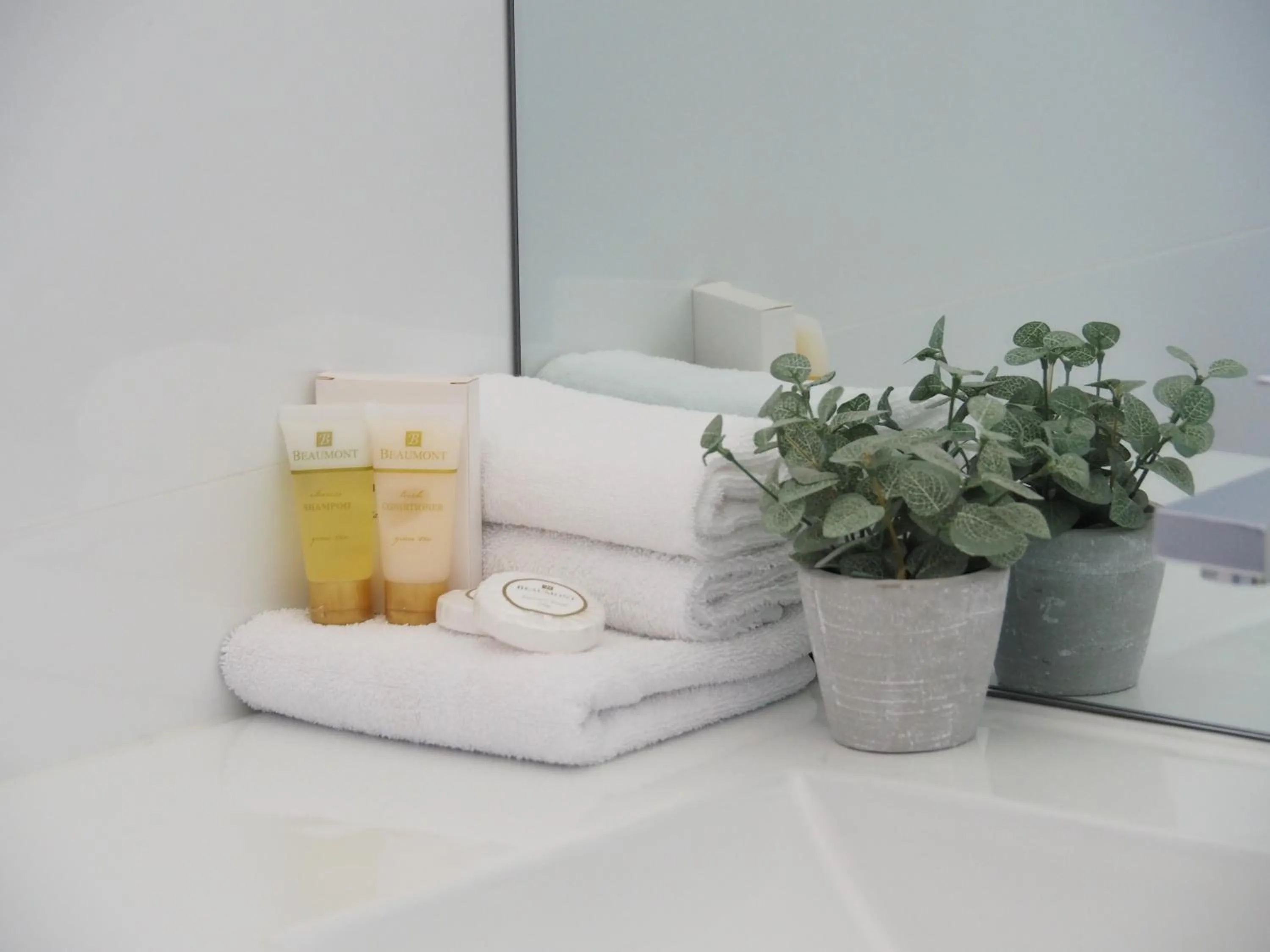 Bathroom, Bed in The Esplanade Motel