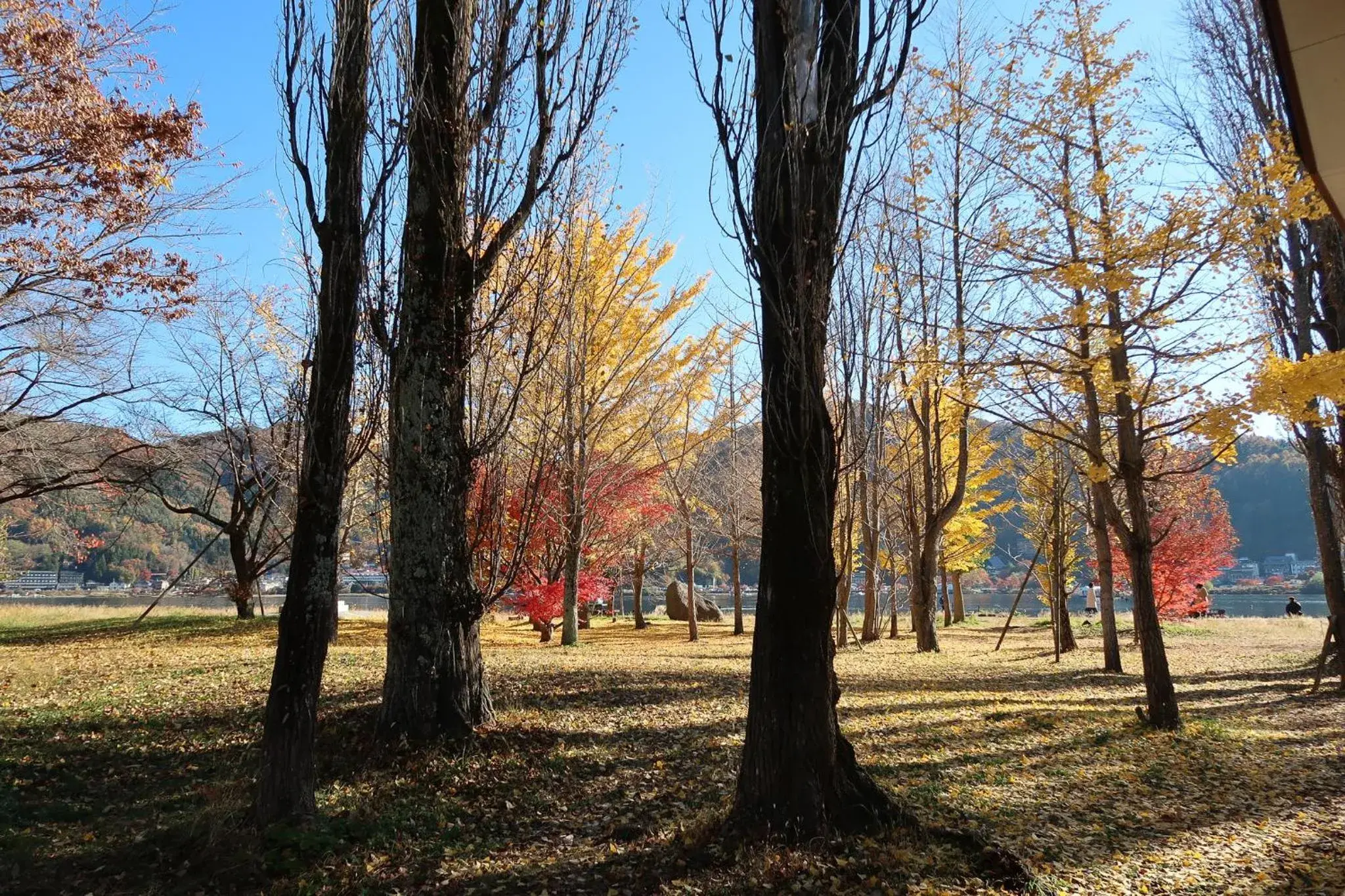 Nearby landmark in Kuranoyado Matsuya Nearby landmark in Kuranoyado Matsuya