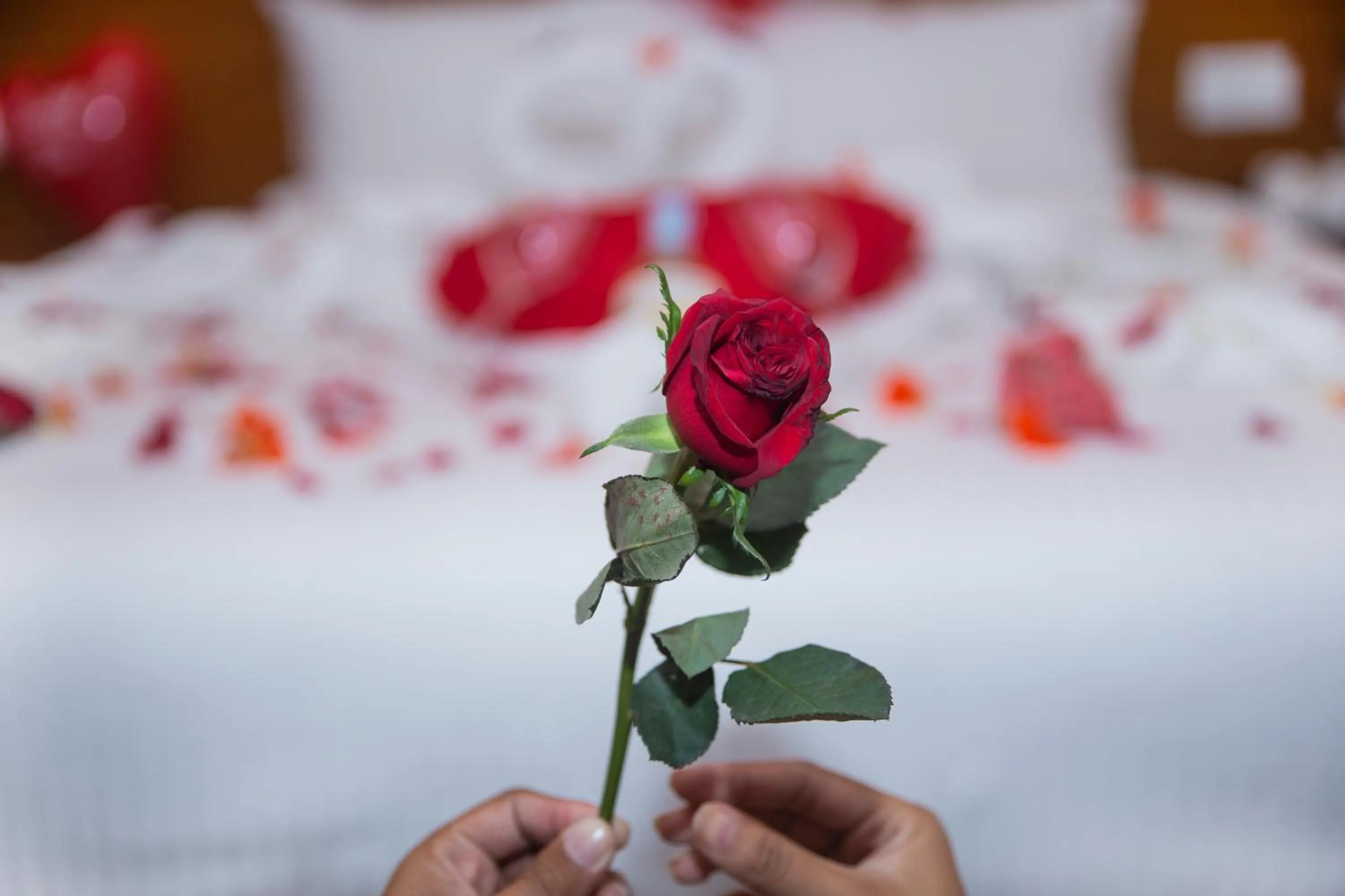 Decorative detail, Bed in Hotel Lake Star
